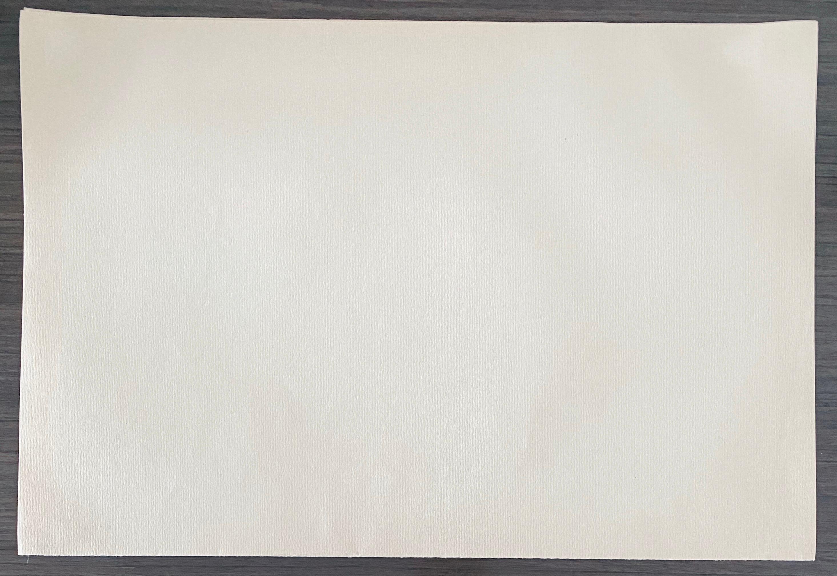 Abel Pann Israeli Bezalel Art School Litografia Judaica Stampa biblica Arte ebraica in vendita 5