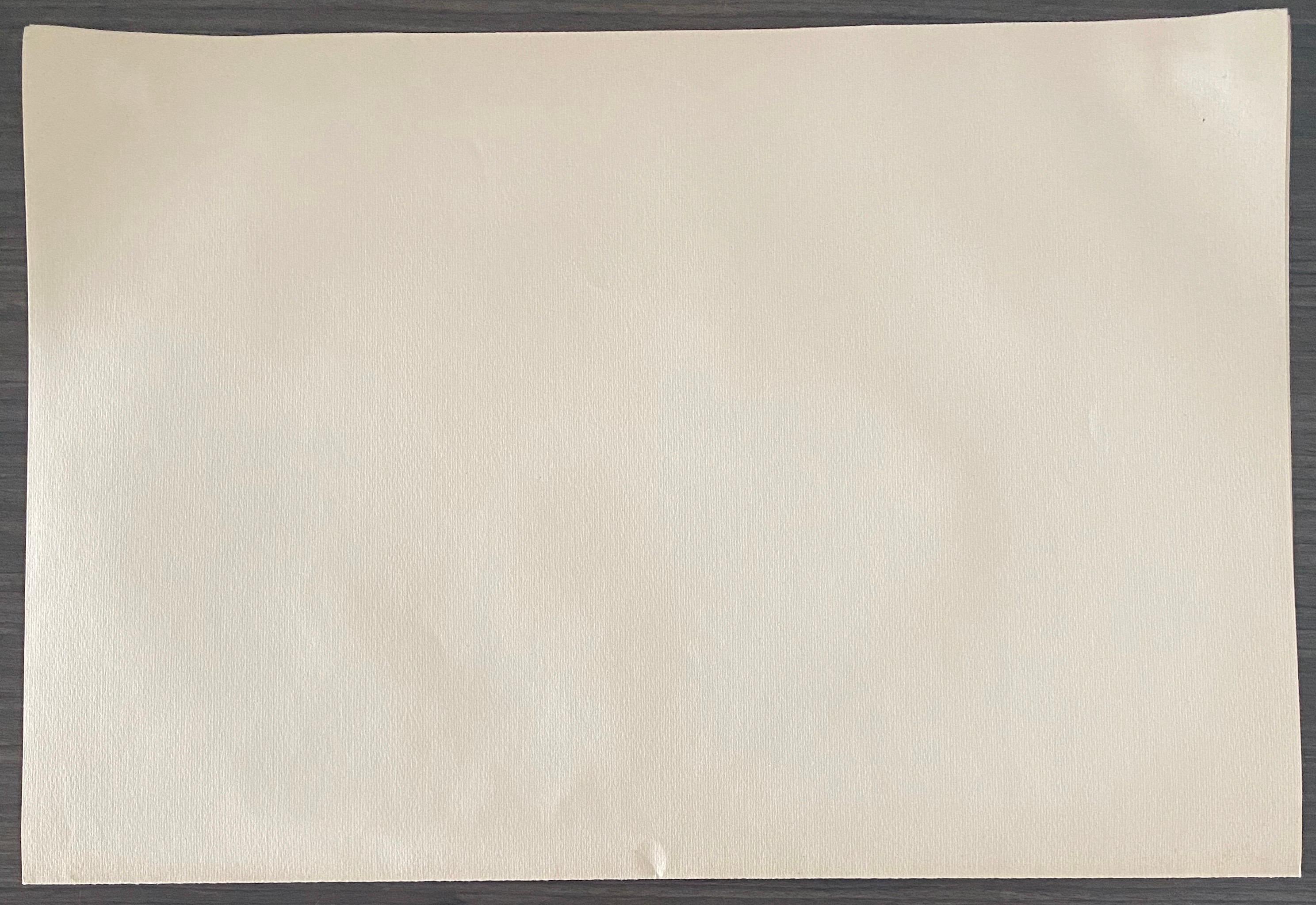 Abel Pann Israeli Bezalel Art School Litografia Judaica Stampa biblica Arte ebraica in vendita 5
