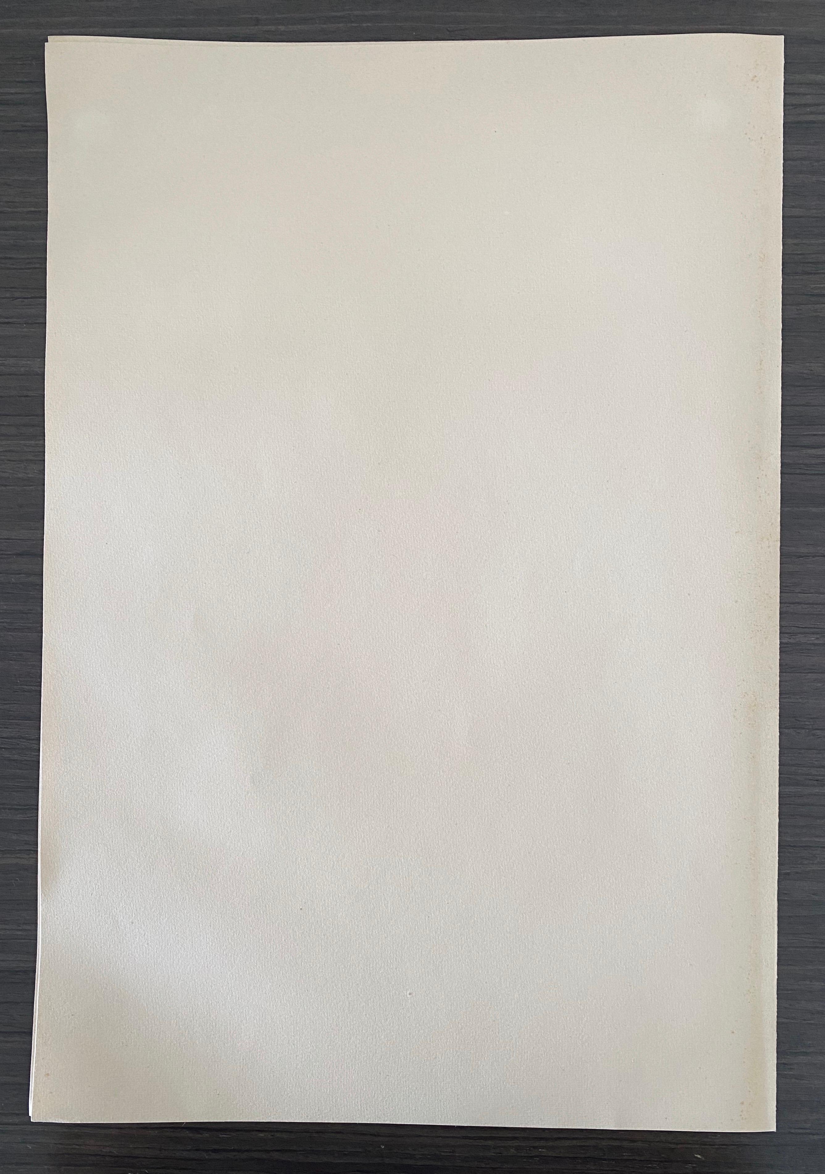 Abel Pann Israeli Bezalel Art School Litografia Judaica Stampa biblica Arte ebraica in vendita 5