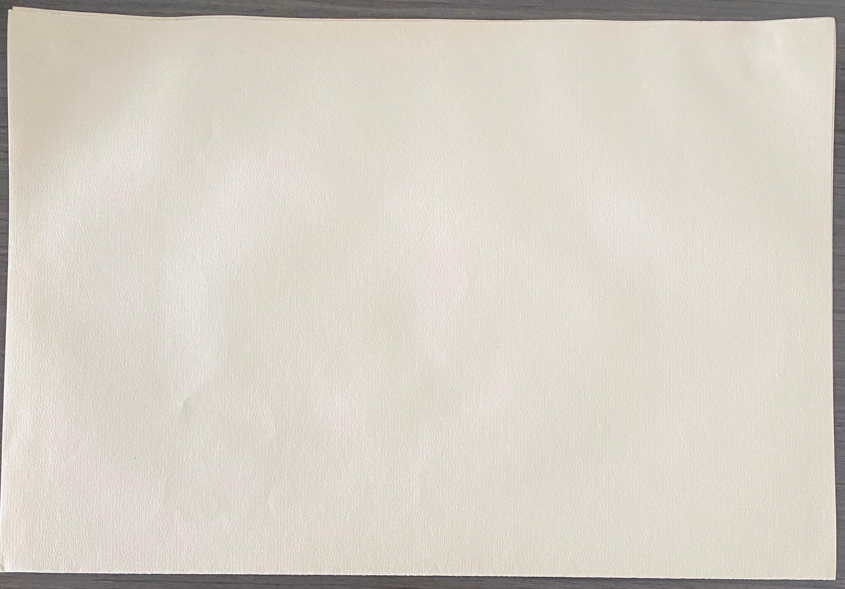Abel Pann Israeli Bezalel Art School Litografia Judaica Stampa biblica Arte ebraica in vendita 5