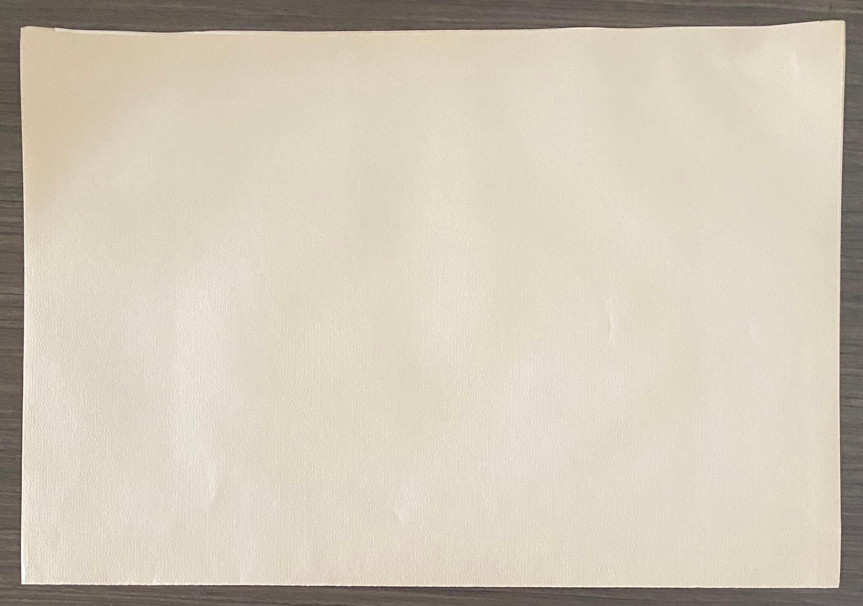 Abel Pann Israeli Bezalel Art School Litografia Judaica Stampa biblica Arte ebraica in vendita 5