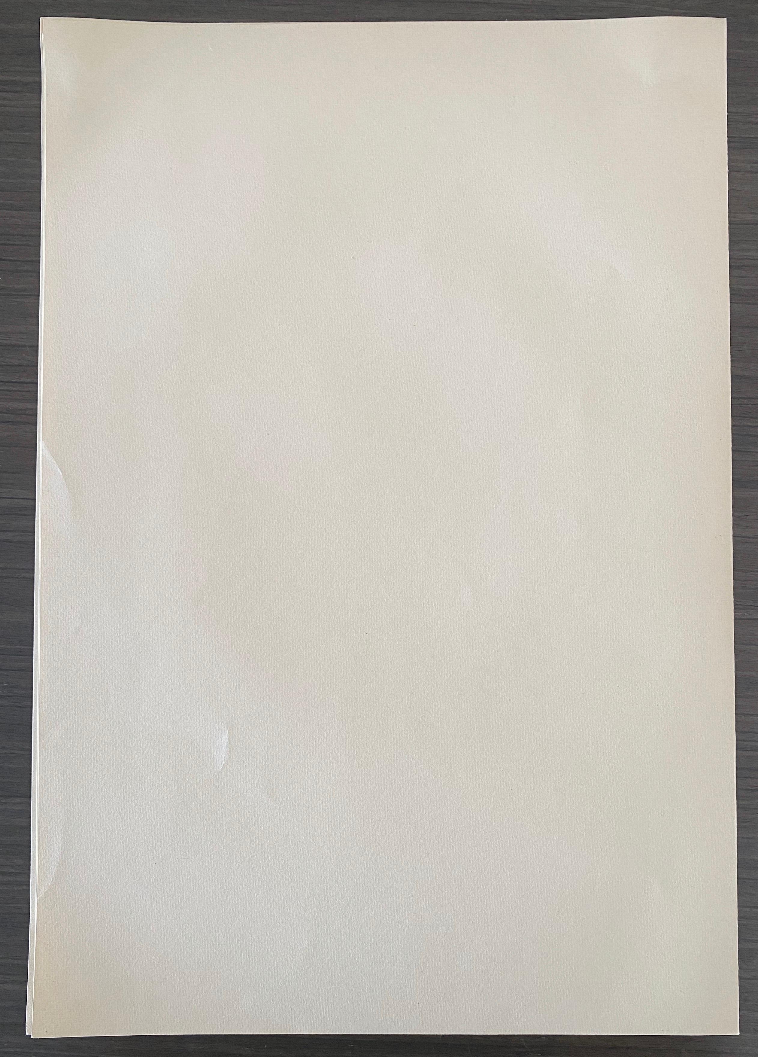 Abel Pann Israeli Bezalel Art School Litografia Judaica Stampa biblica Arte ebraica in vendita 6