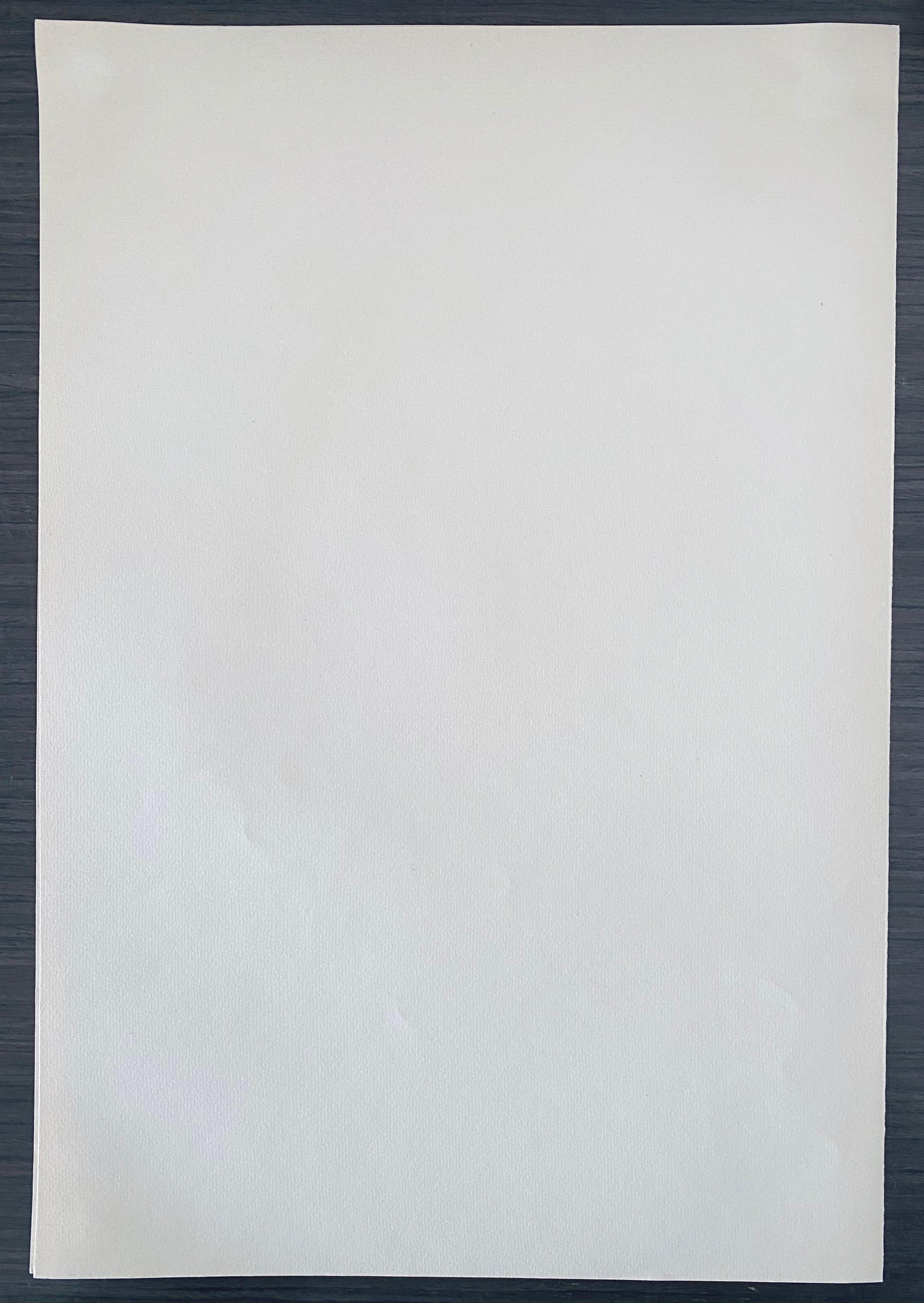 Abel Pann Israeli Bezalel Art School Litografia Judaica Stampa biblica Arte ebraica in vendita 6