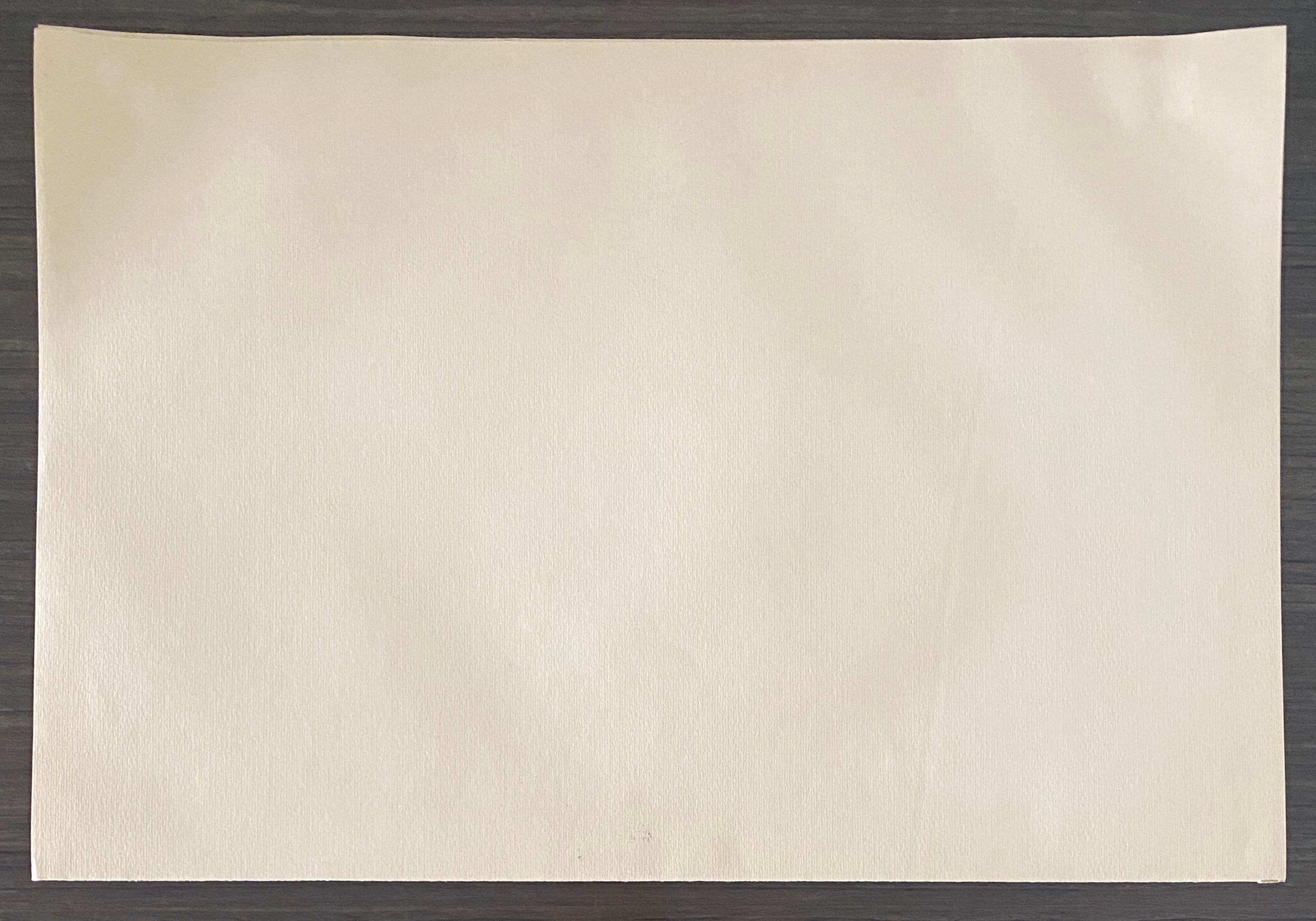 Abel Pann Israeli Bezalel Art School Litografia Judaica Stampa biblica Arte ebraica in vendita 6