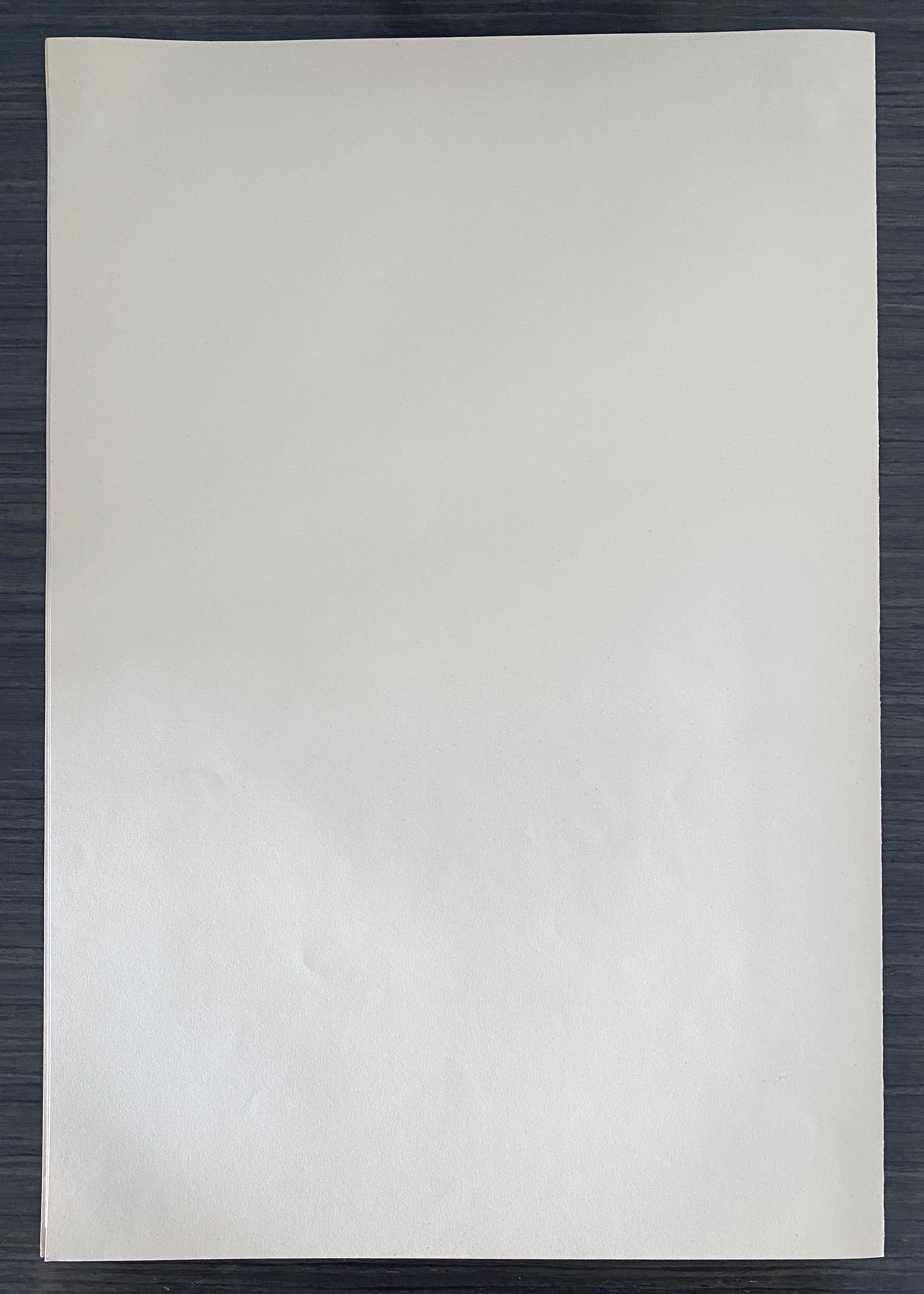 Abel Pann Israeli Bezalel Art School Litografia Judaica Stampa biblica Arte ebraica in vendita 6