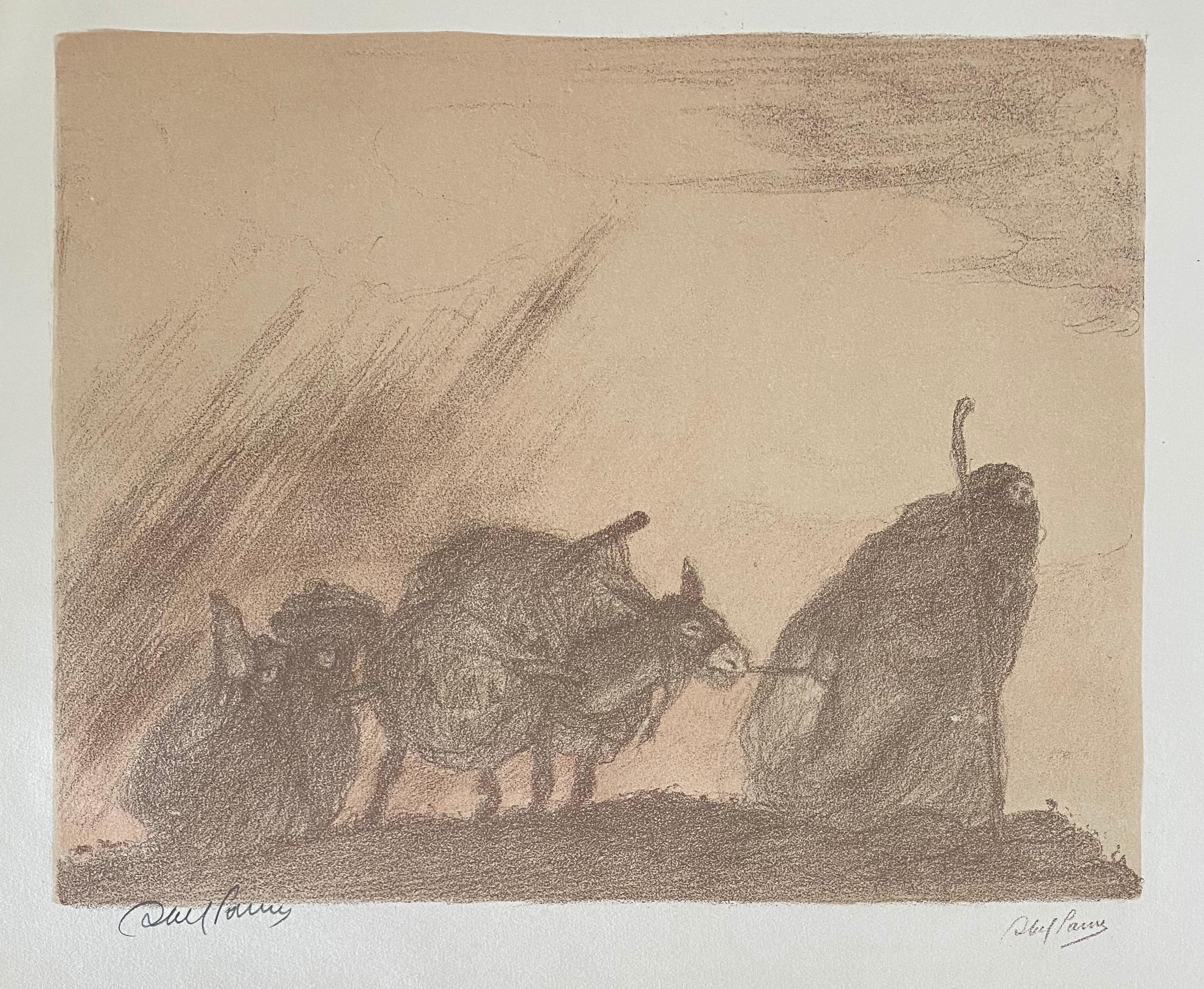 Abel Pann Israeli Bezalel Art School Litografia Judaica Stampa biblica Arte ebraica