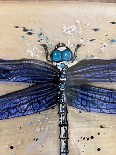Abel Schiro Dragonfly