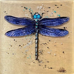 Abel Schiro Dragonfly