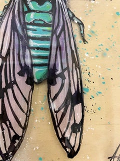 Abel Schiro Cicada
