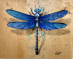 Abel Schiro, Medium Dragonfly