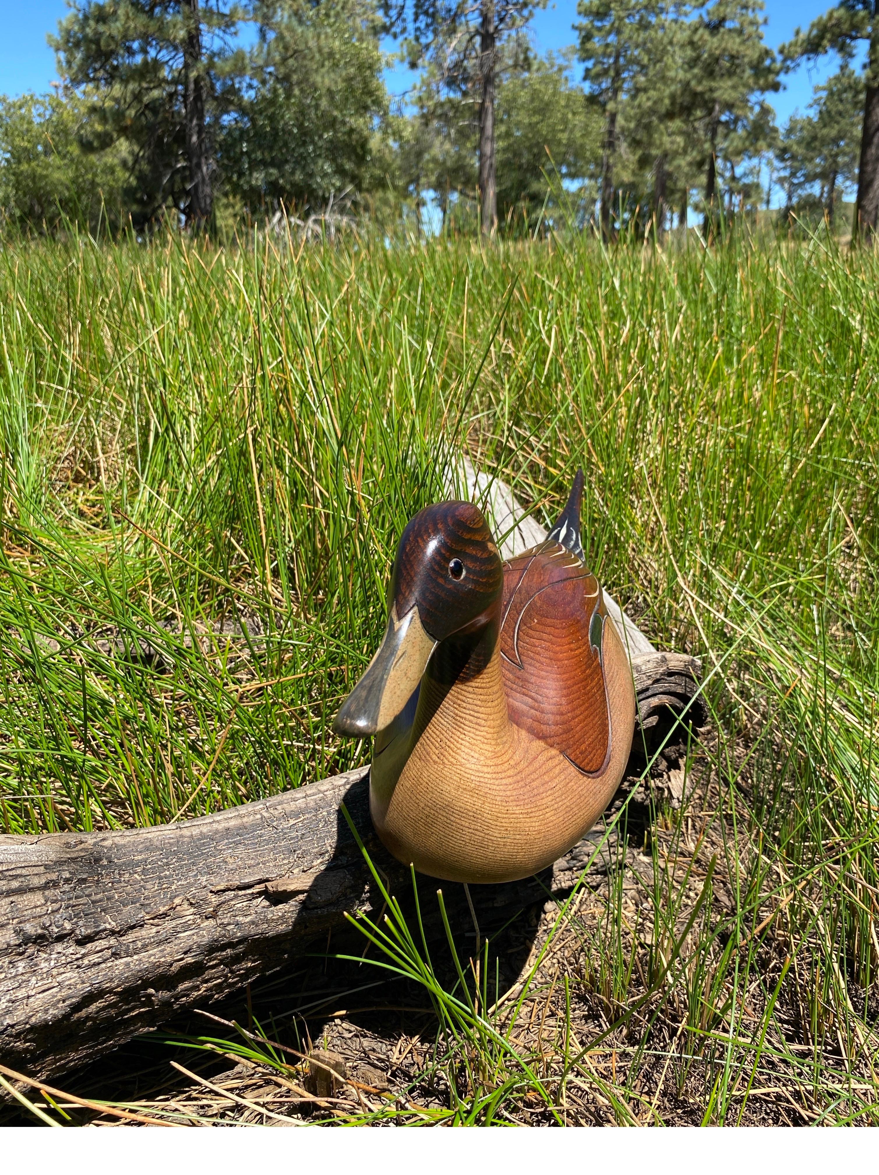 Hand-Carved Abercrombie & Fitch Hand Carved and Painted Pintail Drake Duck Decoy