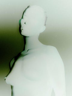 'Anti' Print on Hahnemüle Paper, Green Gray Inverted Color, by Abi Polinsky