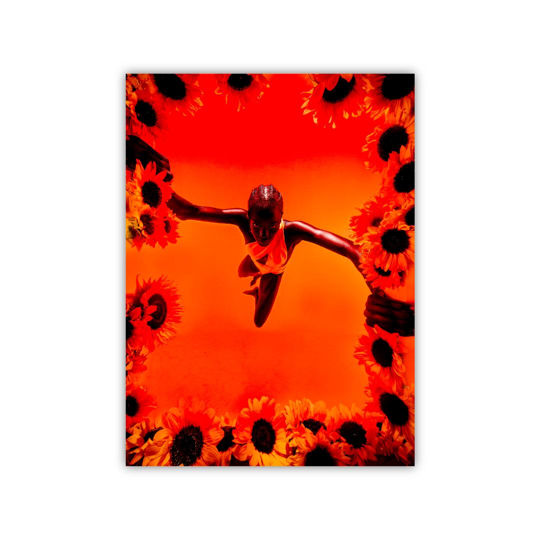 'Ire' Print on Hahnemüle Paper, Modern Bright Red Orange Color, by Abi Polinsky