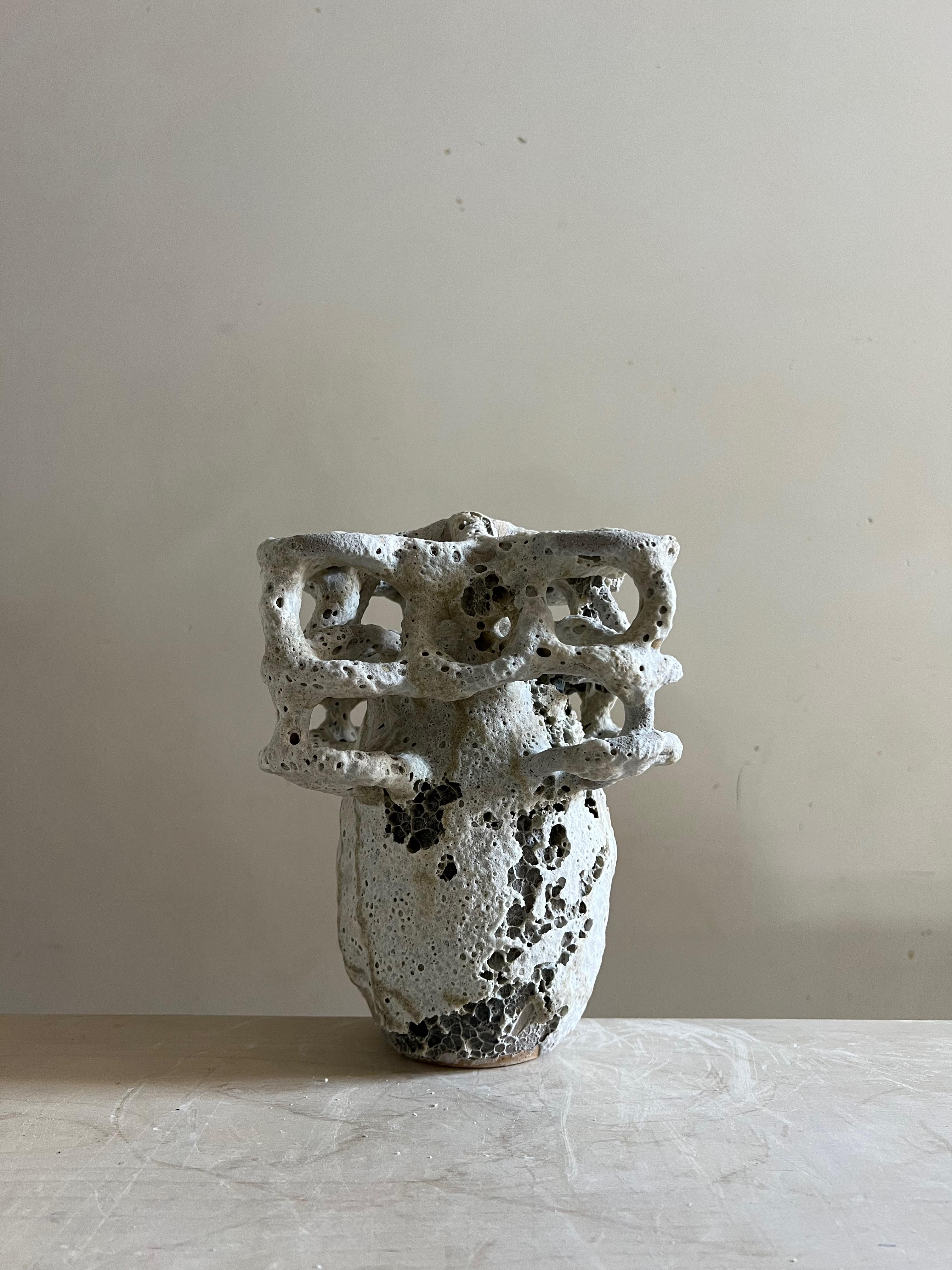 Spagnolo Abisal in vendita