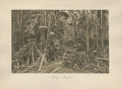 Aboeng Jungle, Sumatra — Antique Photogravure by C.J. Kleingrothe c.1900