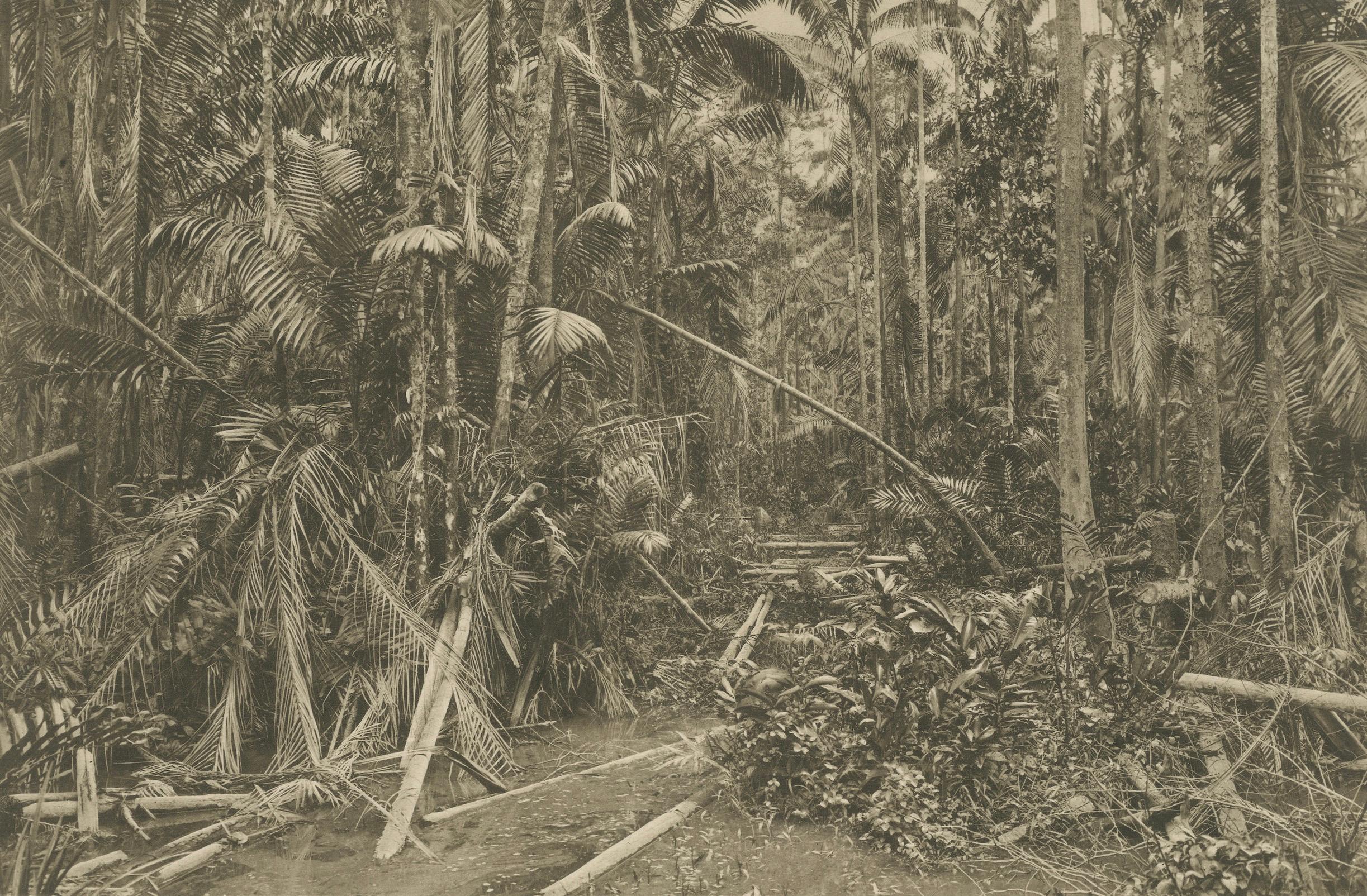 Olandese Aboeng Jungling, Sumatra - Fotogramma antico di C.C. Kleingrothe c.1900 in vendita