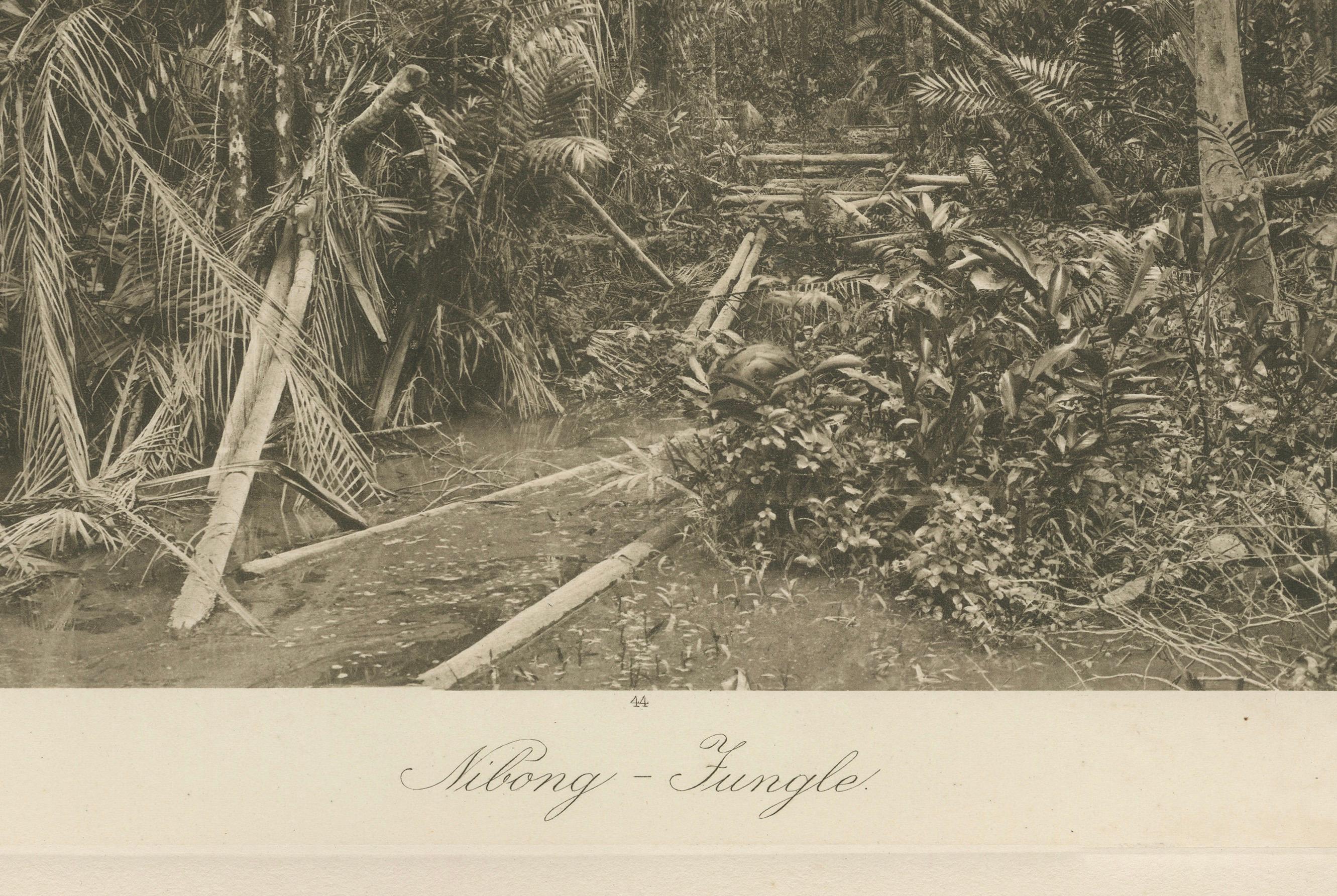 Aboeng Jungling, Sumatra - Fotogramma antico di C.C. Kleingrothe c.1900 In condizioni buone in vendita a Langweer, NL