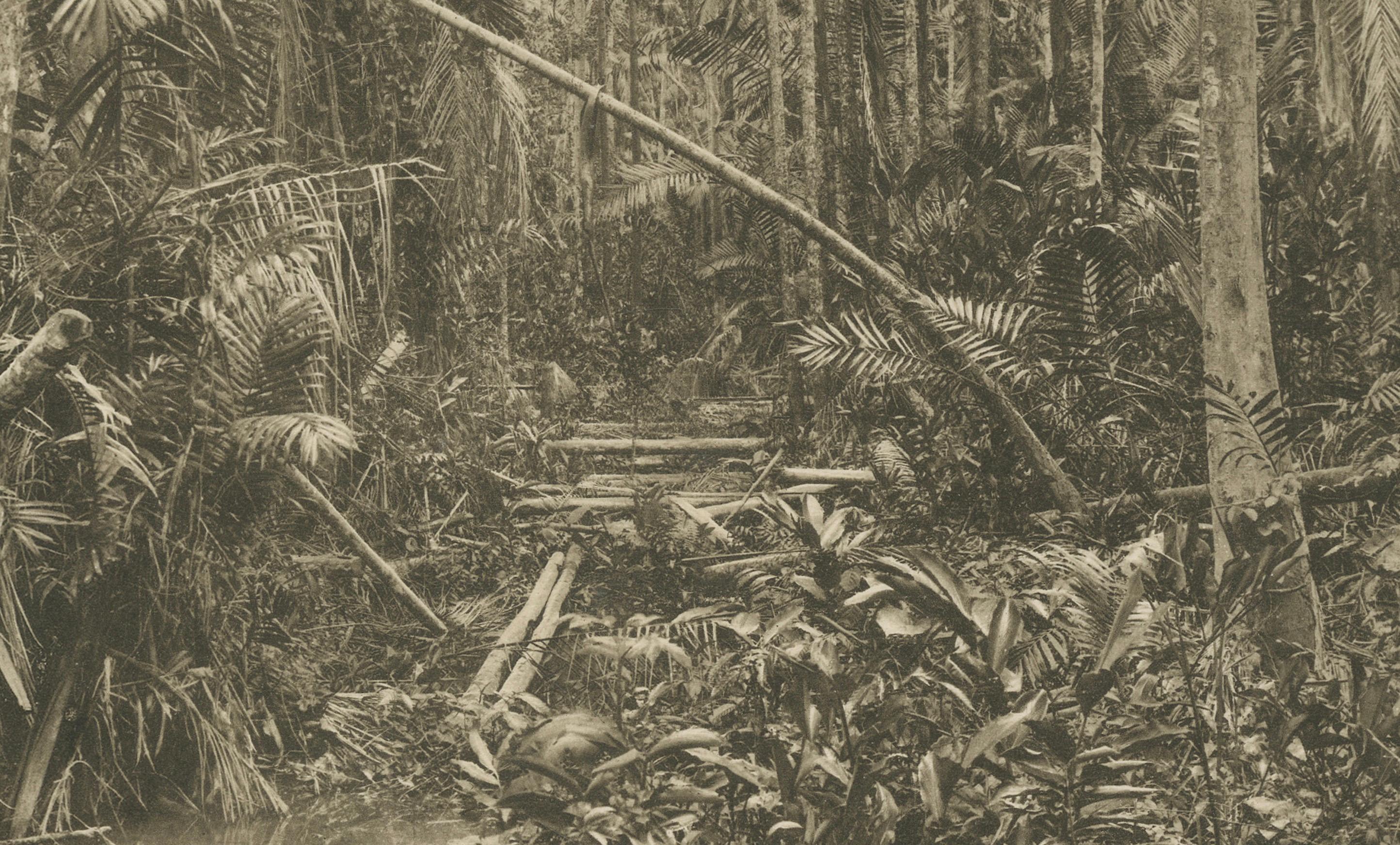 XX secolo Aboeng Jungling, Sumatra - Fotogramma antico di C.C. Kleingrothe c.1900 in vendita