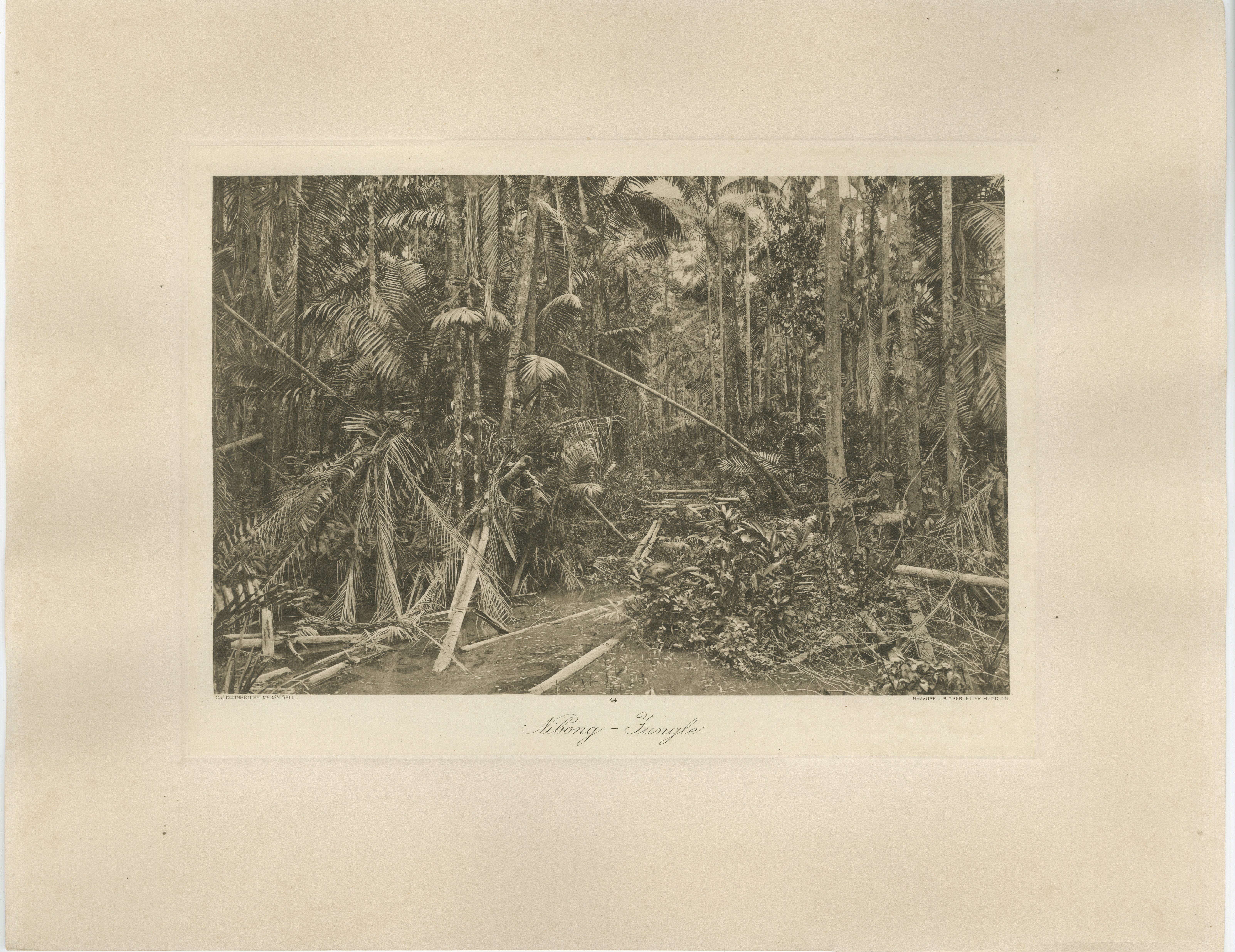 Jungling, Sumatra - Photogravure ancienne de C.I.C. Kleingrothe c.C.C.