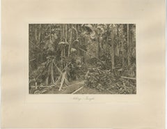 Jungling, Sumatra - Photogravure ancienne de C.I.C. Kleingrothe c.C.C.