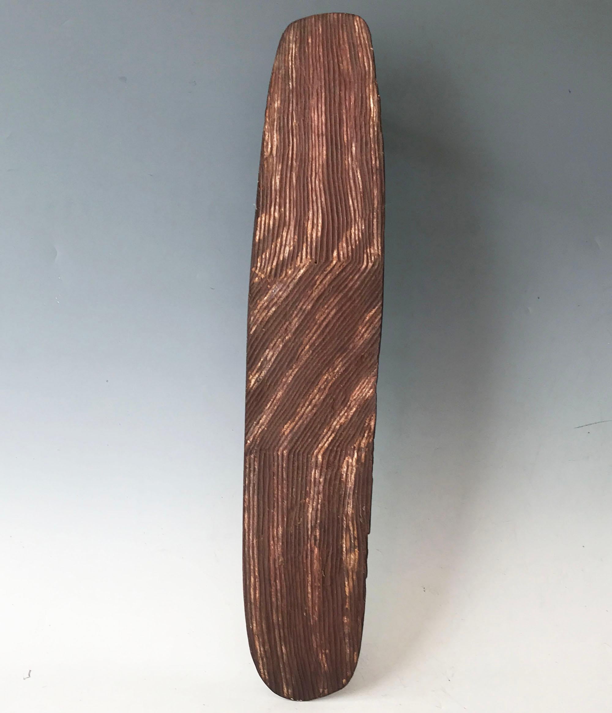 Fine Aboriginal Wunda shield in hard wood carved on both sides with Zigzag Geometric fluted design colored with red and cream pigment. As well as a collectible historical Tribal artifact this Shield makes a great object for a Interior design element