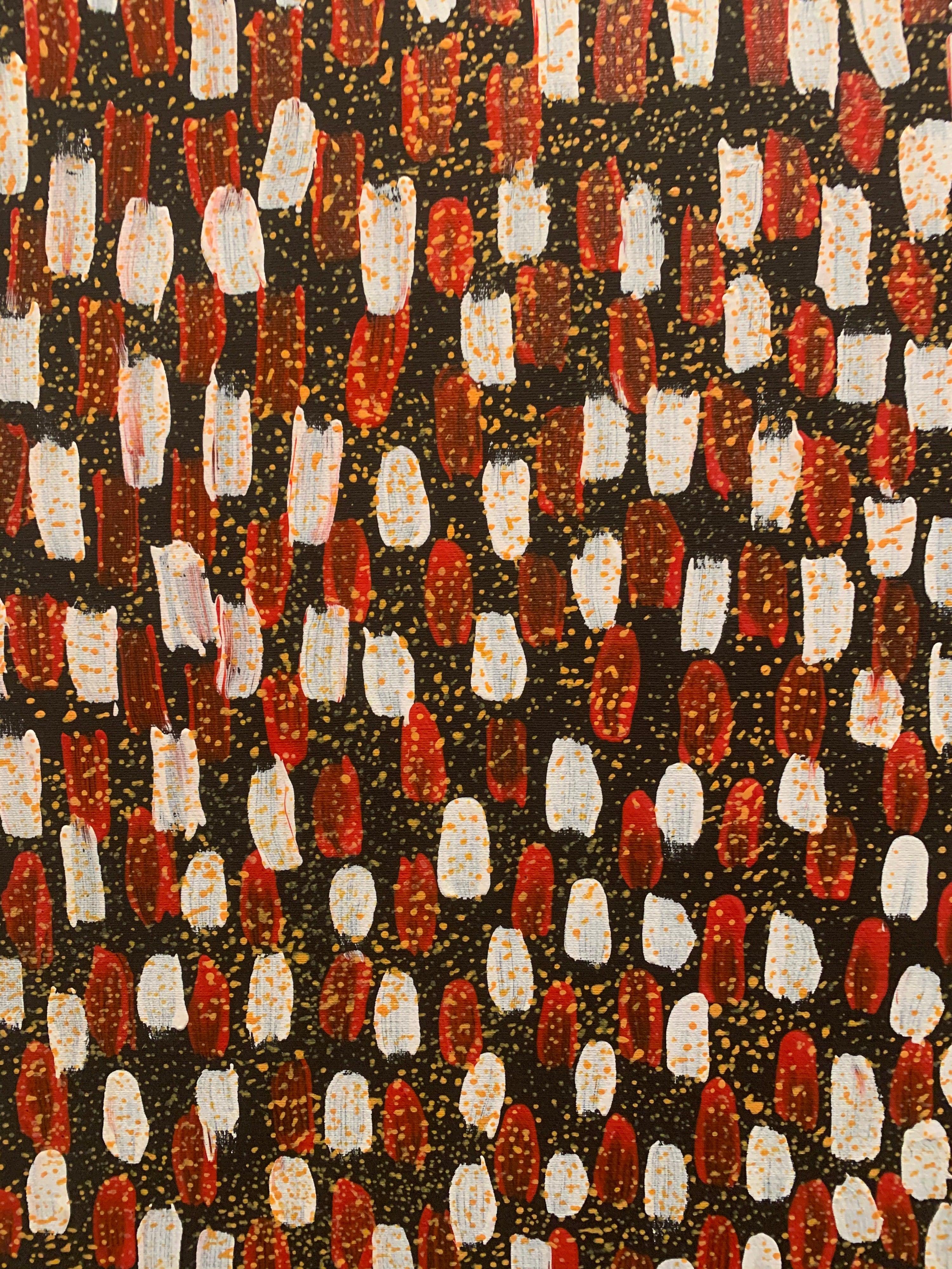 Modern Aboriginal Painting Bush Medicine Leaves Dreaming Abie Loy For Sale