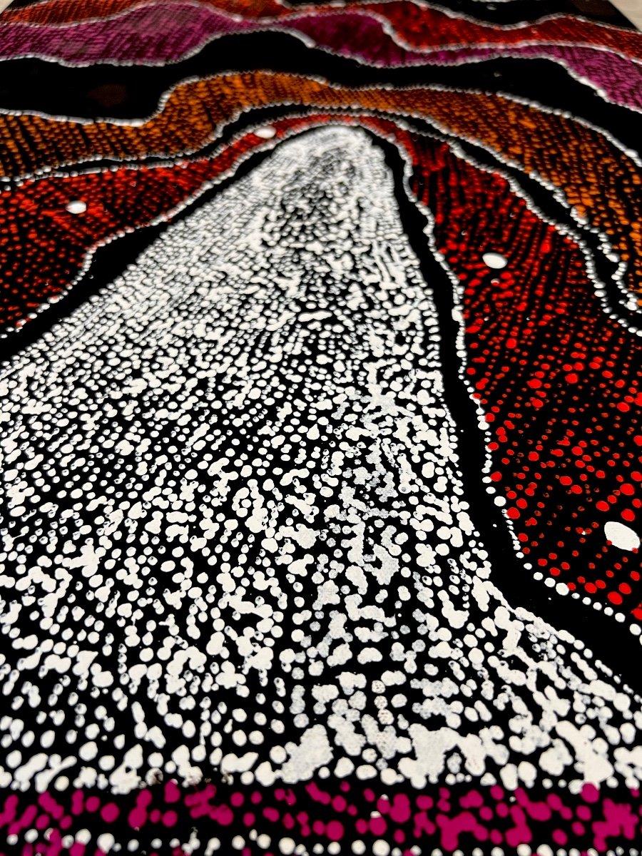 In this extraordinary aboriginal painting, Julie Nangala Robinson depicts 'Pirlinyanu,' her father's country for which she is the custodian, near Mina Mina, a rocky land rich in deep water sources. Through her exploration of the water dream, she