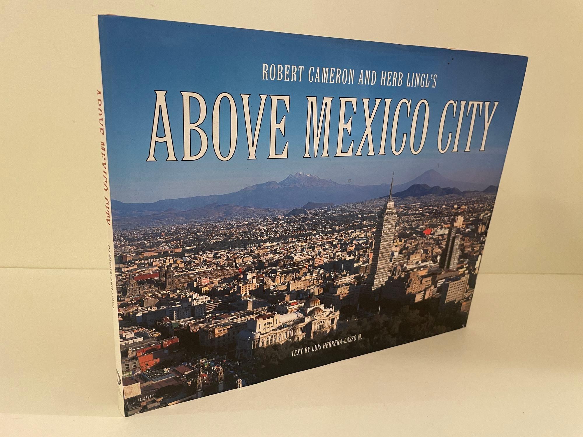 Expressionist Above Mexico City Hardcover 2004 For Sale