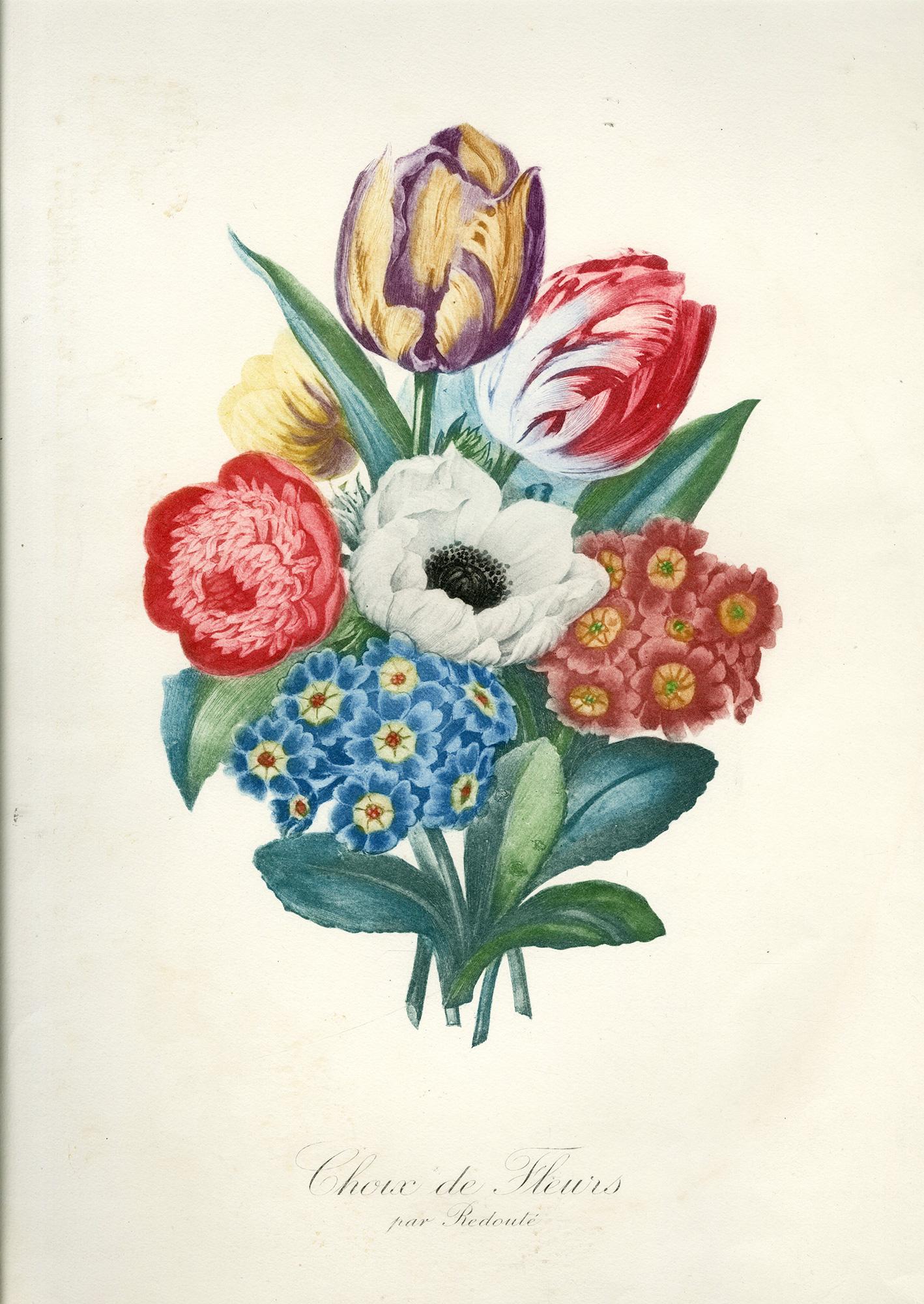 Each a lithograph with hand coloring on watermarked Arches wove paper with a deckle edge. Each 16 1/4 x 12 1/4 (412 x 312 mm); sheet 26 x 19 3/4 inches (661 x 502 mm), each with full margins. Specimens include Alliarai; Ellebore; Lunaria;