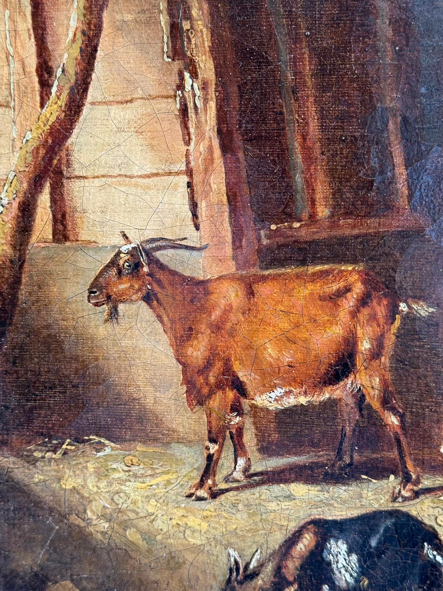 Escena de interior de granero inglés del siglo XIX con una familia de cabras y cabritos. en venta 1