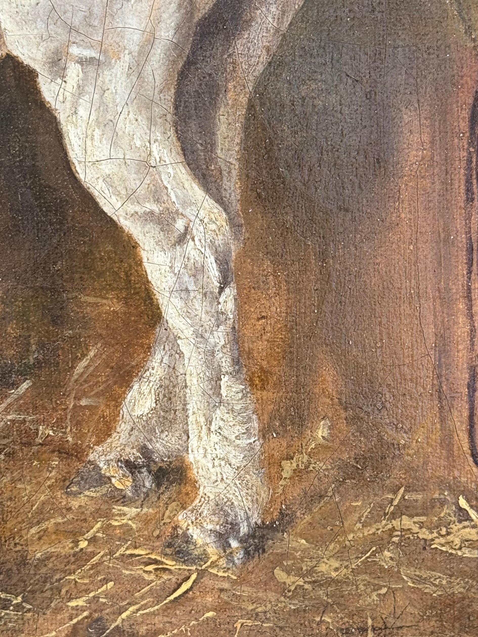 19th century English interior barn scene with horse , goats 1