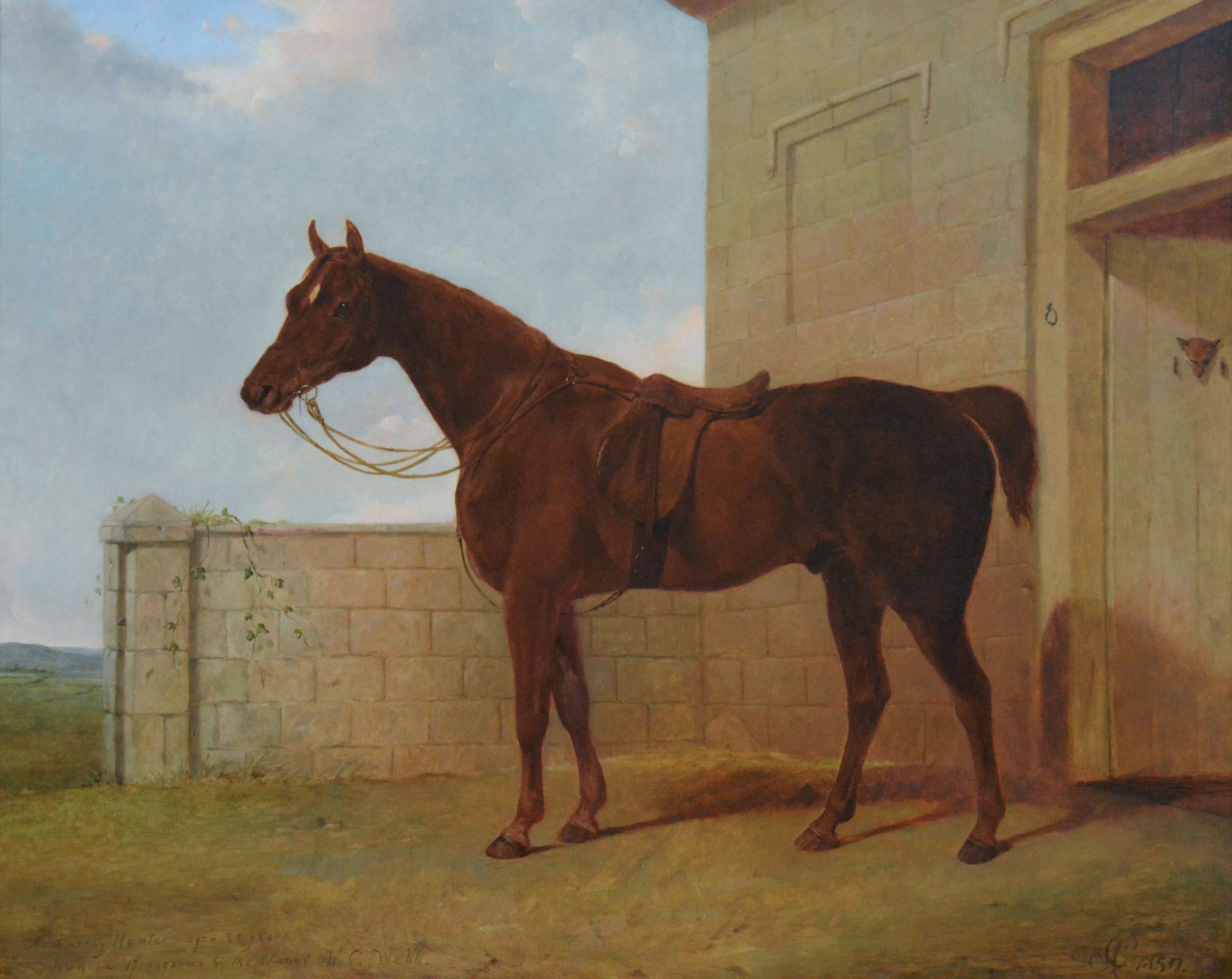 19th Century sporting horse portrait oil painting of a chestnut hunter - Painting by Abraham Cooper