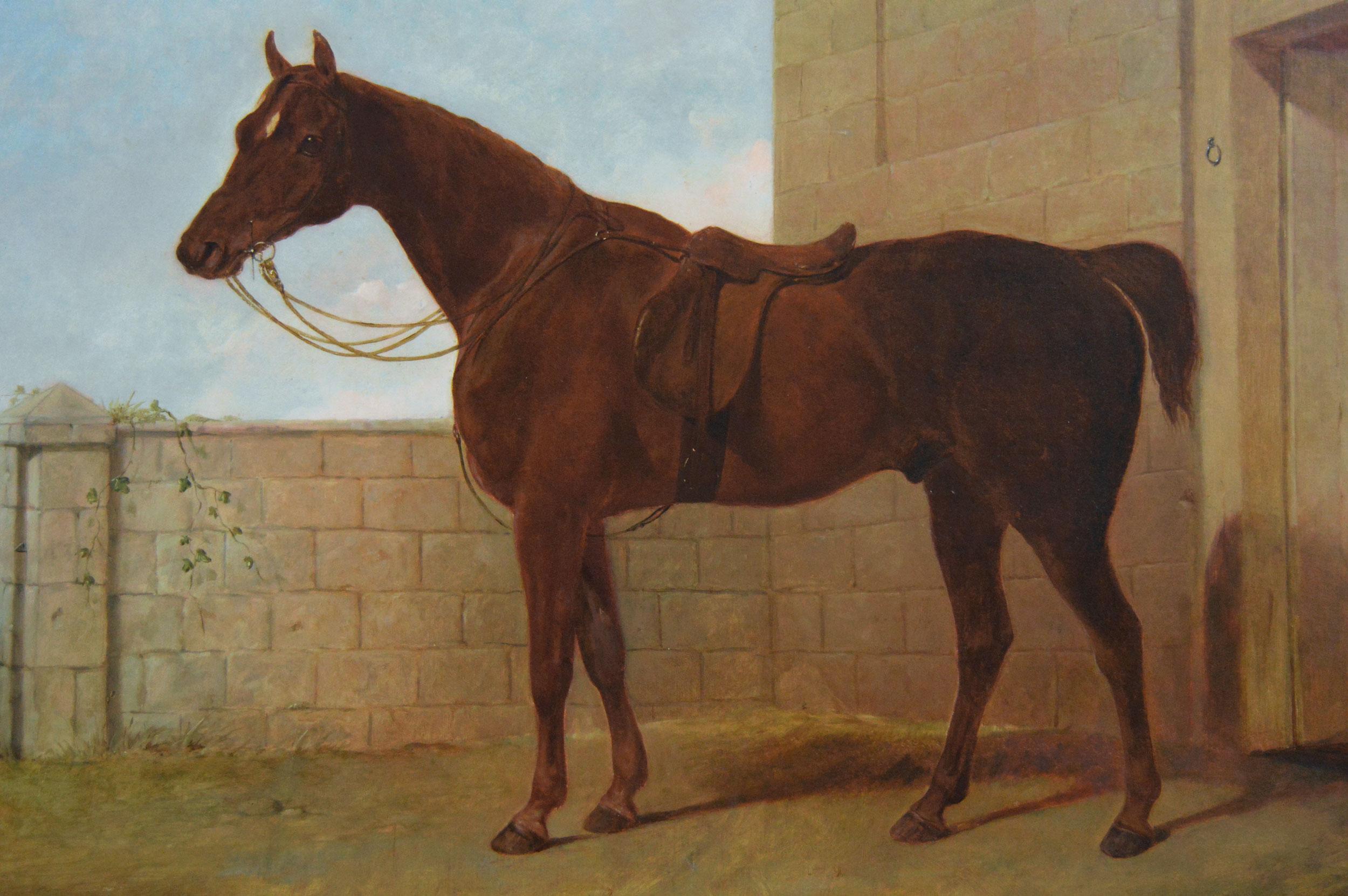 19th Century sporting horse portrait oil painting of a chestnut hunter - Victorian Painting by Abraham Cooper