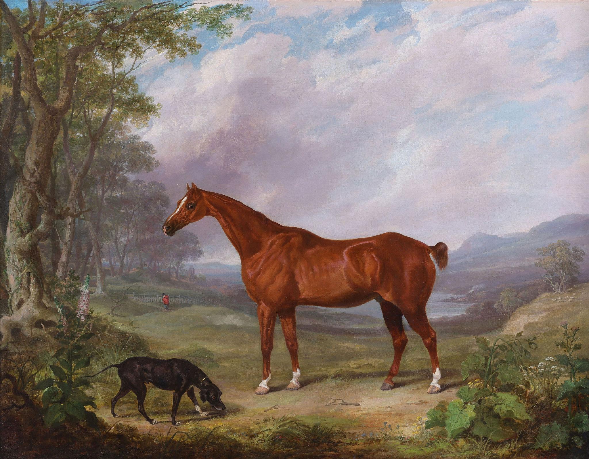 Ein Kastanienholzpferd auf einem Feld – Painting von Abraham Cooper