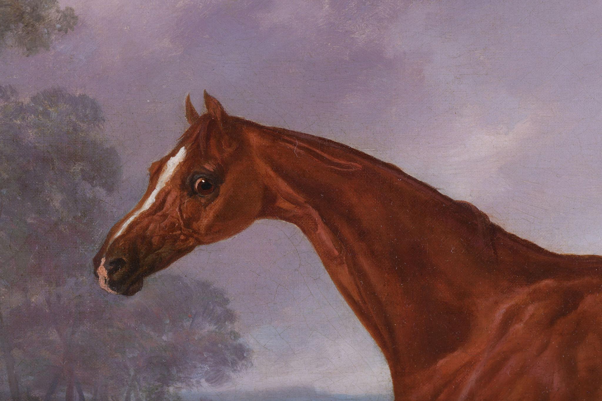 A Chestnut Horse in a Field - English School Painting by Abraham Cooper