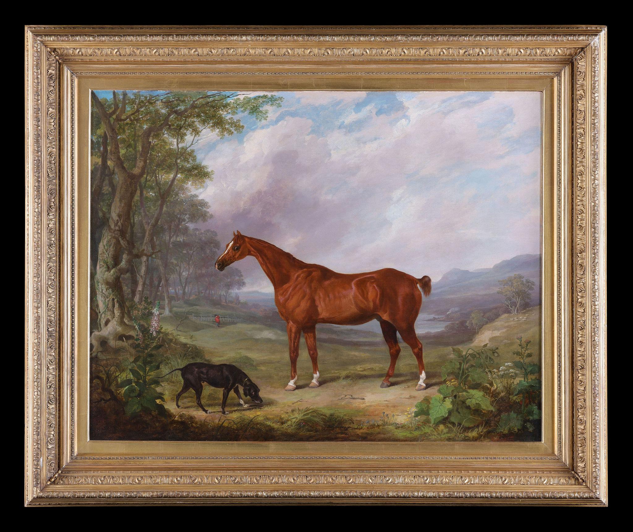 Abraham Cooper Animal Painting – Ein Kastanienholzpferd auf einem Feld
