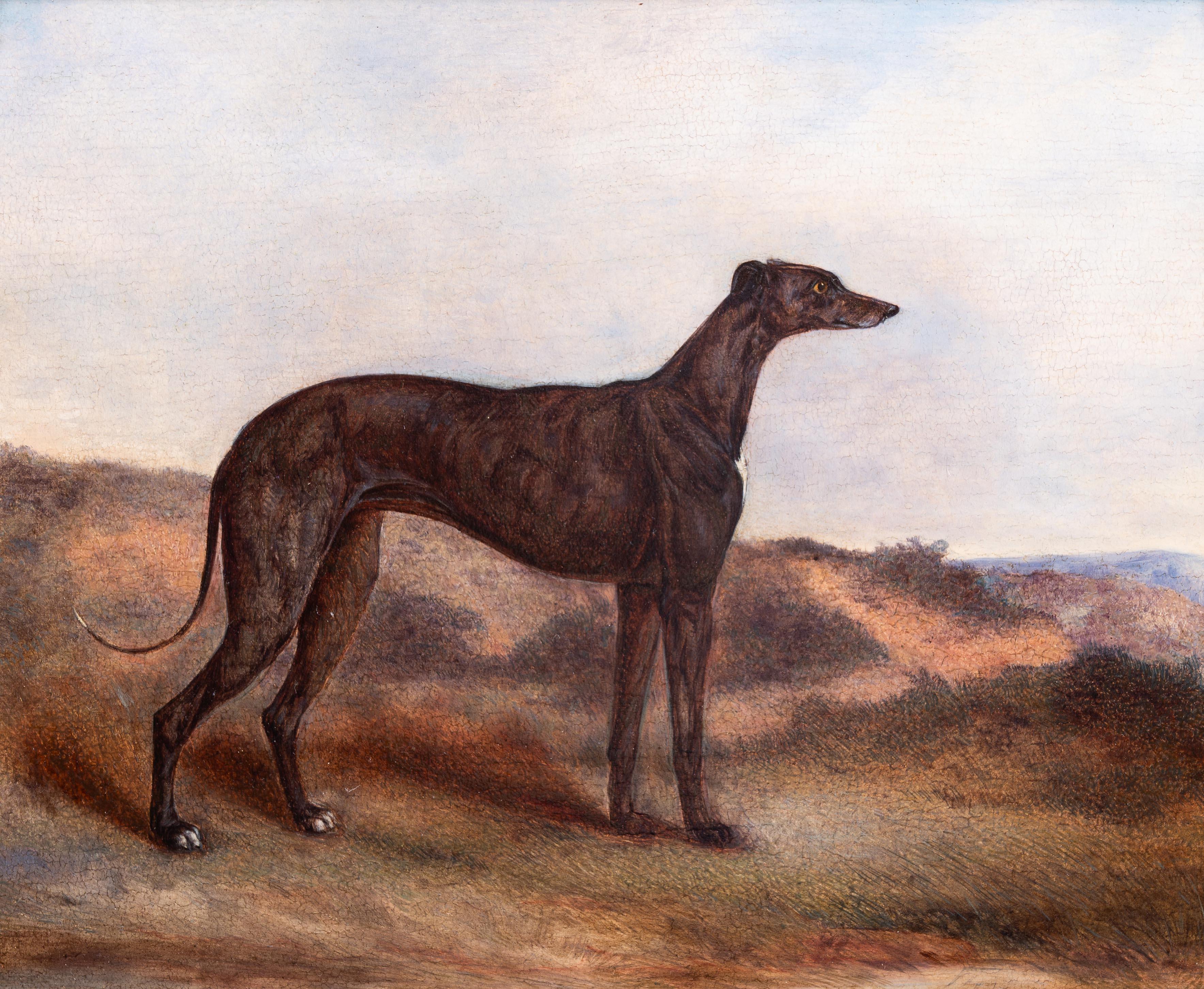 A greyhound in a landscape - Painting by Abraham Cooper