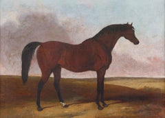 A Racing Horse. 19th Century antique framed oil on canvas by Abraham Cooper