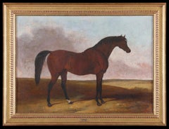 A Racing Horse. 19th Century antique framed oil on canvas by Abraham Cooper