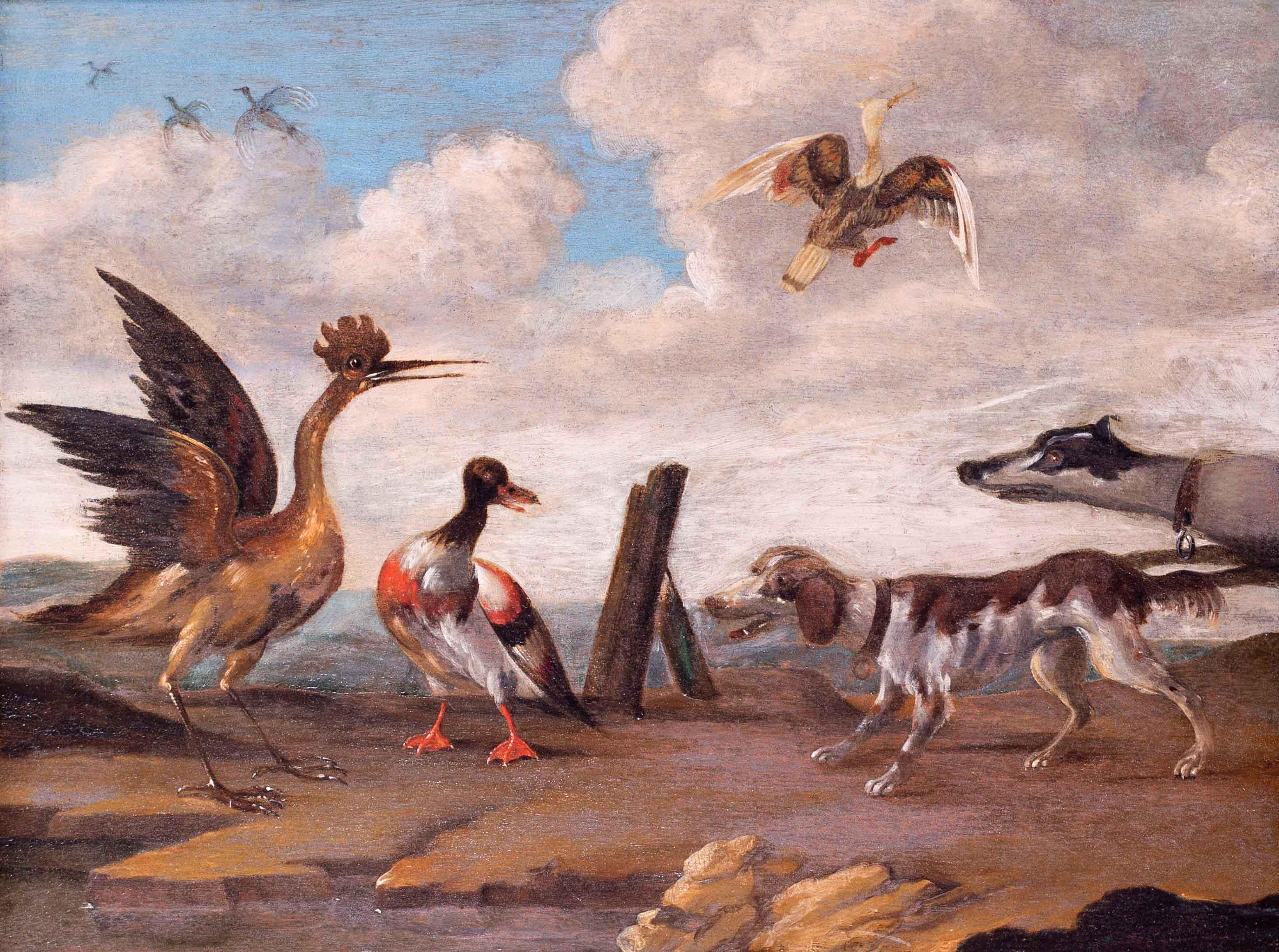 17th Century oil painting of hounds putting up wildfowl - Painting by Abraham Danielsz Hondius