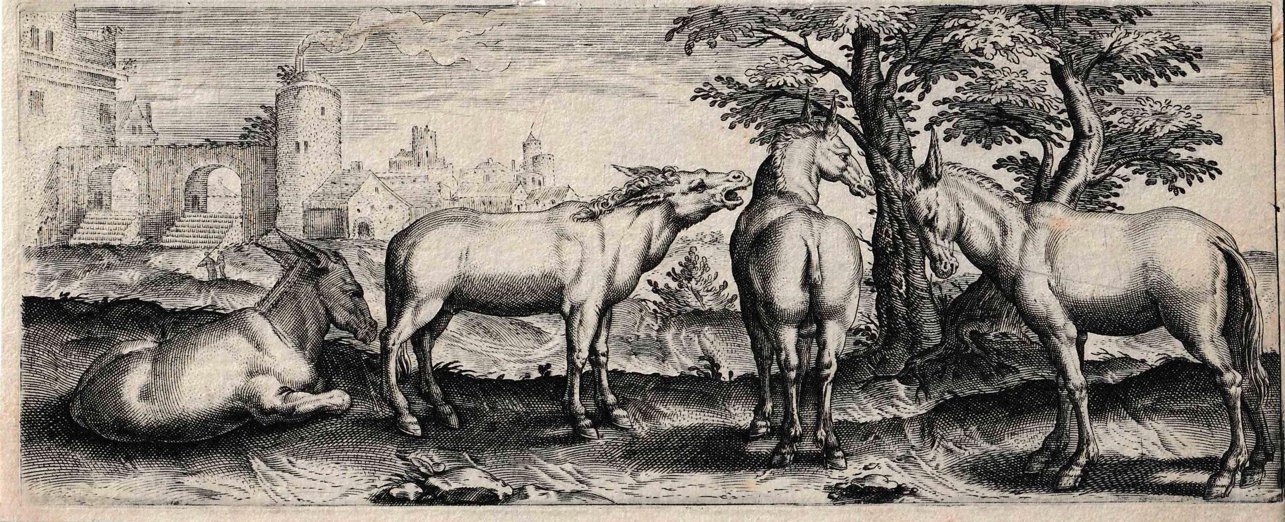 Abraham de Bruyn Figurative Print - Landscape with four donkeys, from Animals
