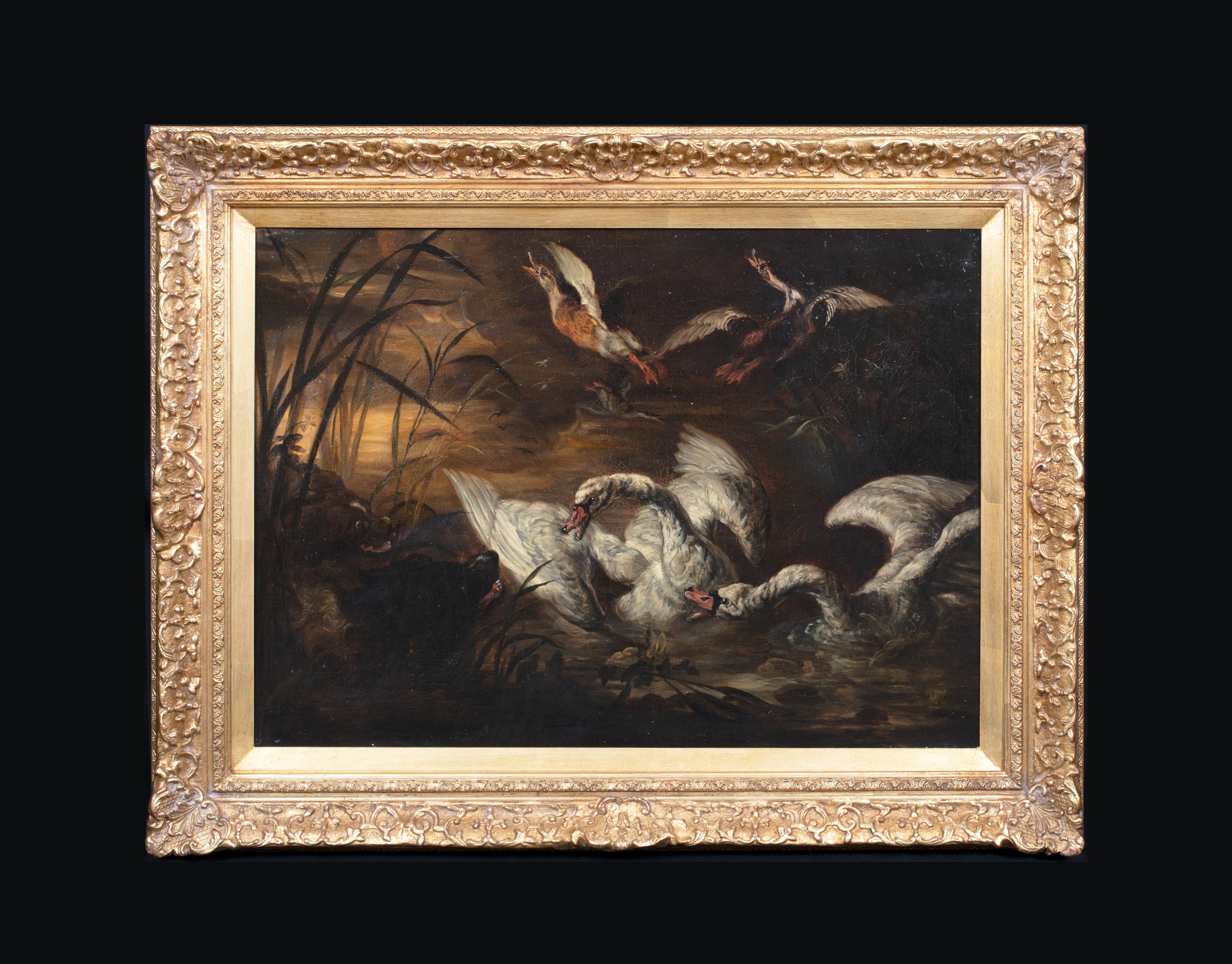 Perros atacando cisnes y patos, siglo XVII - Painting de Abraham Hondius