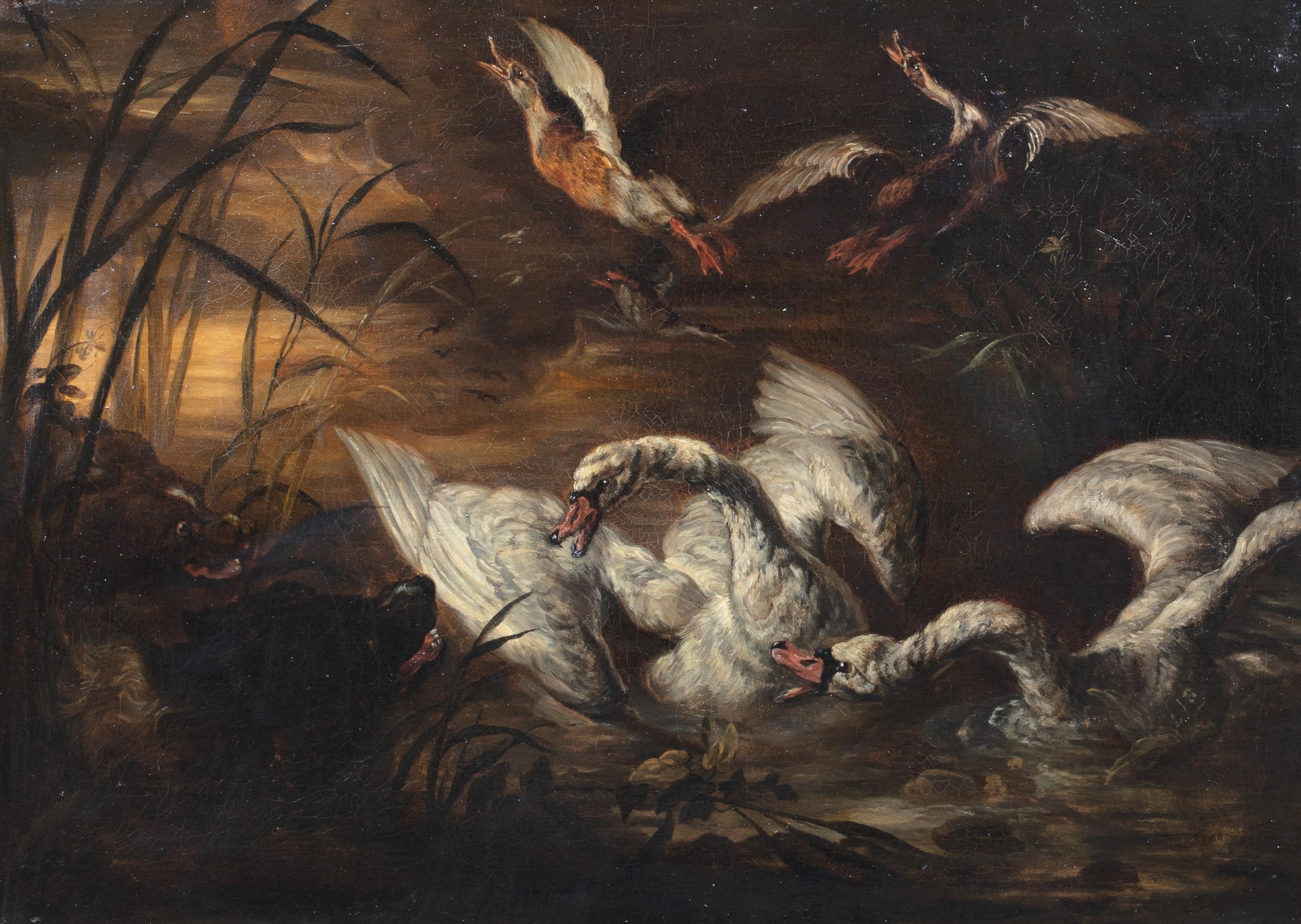 Perros atacando cisnes y patos, siglo XVII - Portrait Painting Negro de Abraham Hondius