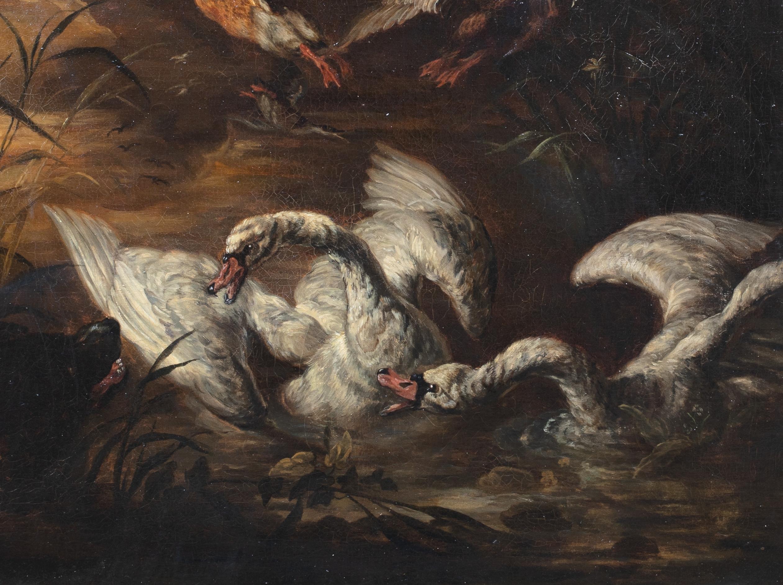 Perros atacando cisnes y patos, siglo XVII

Fino Viejo Maestro holandés del siglo XVII de perros atacando cisnes y patos, óleo sobre lienzo círculo de Abraham Daniels Hondius. Una escena temprana y poco frecuente a orillas del río, en la que dos