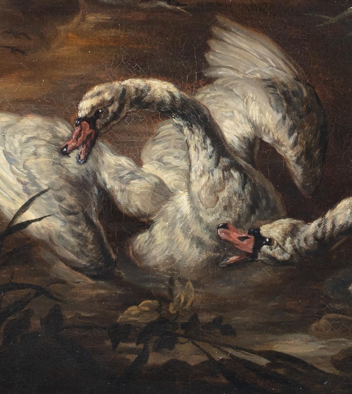 Perros atacando cisnes y patos, siglo XVII 1