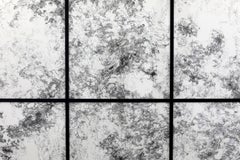 Absolu Tuberose 3, Black Ink Drawing on Mylar Paper Artwork, France, 2012