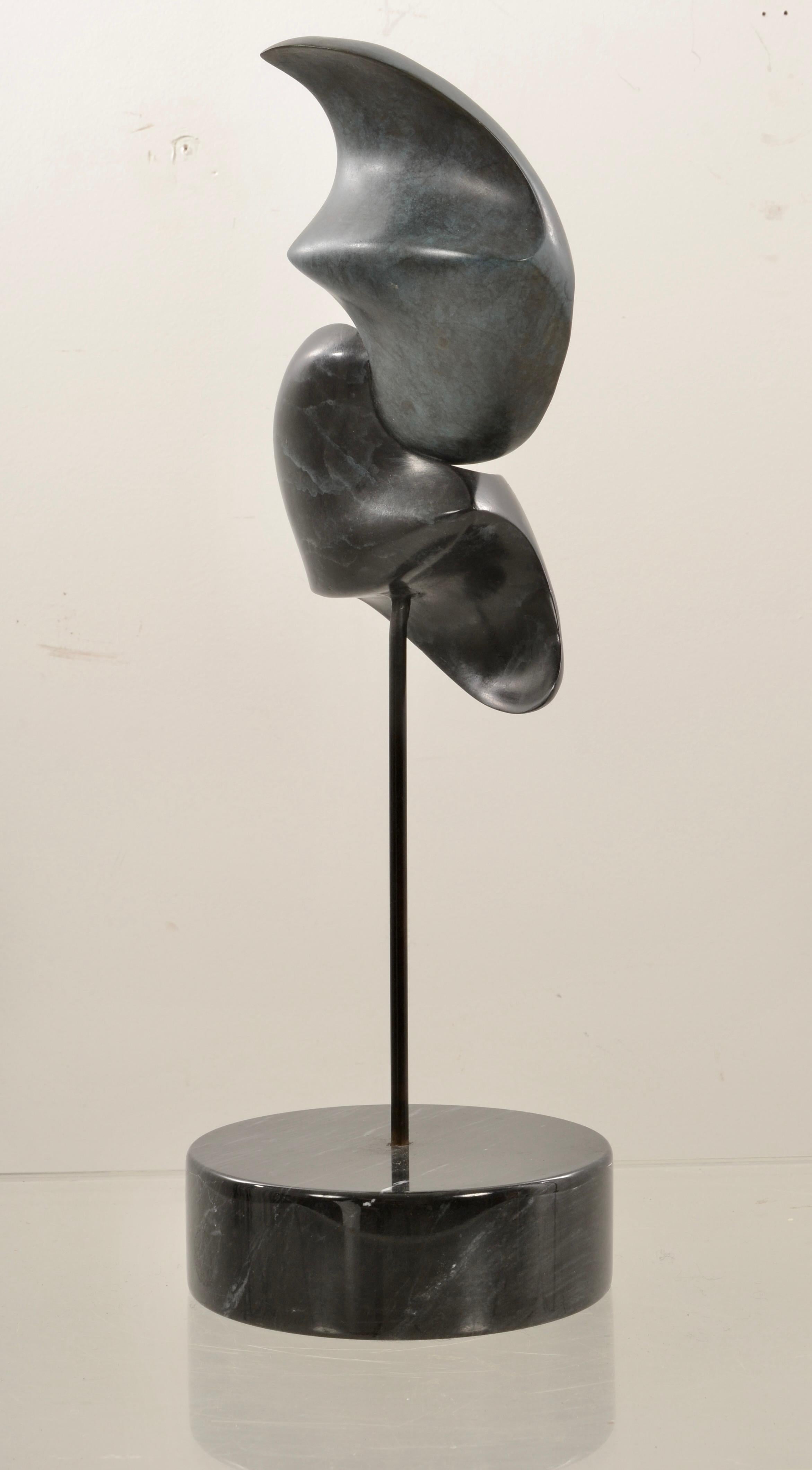 Dramática forma abstracta en bronce, que contrasta una forma más patinada con una sección de bronce oscuro. La obra tiene sensación de movimiento aunque esté fija. Montada sobre una pesada base de mármol negro mediante una varilla de acero. Sin