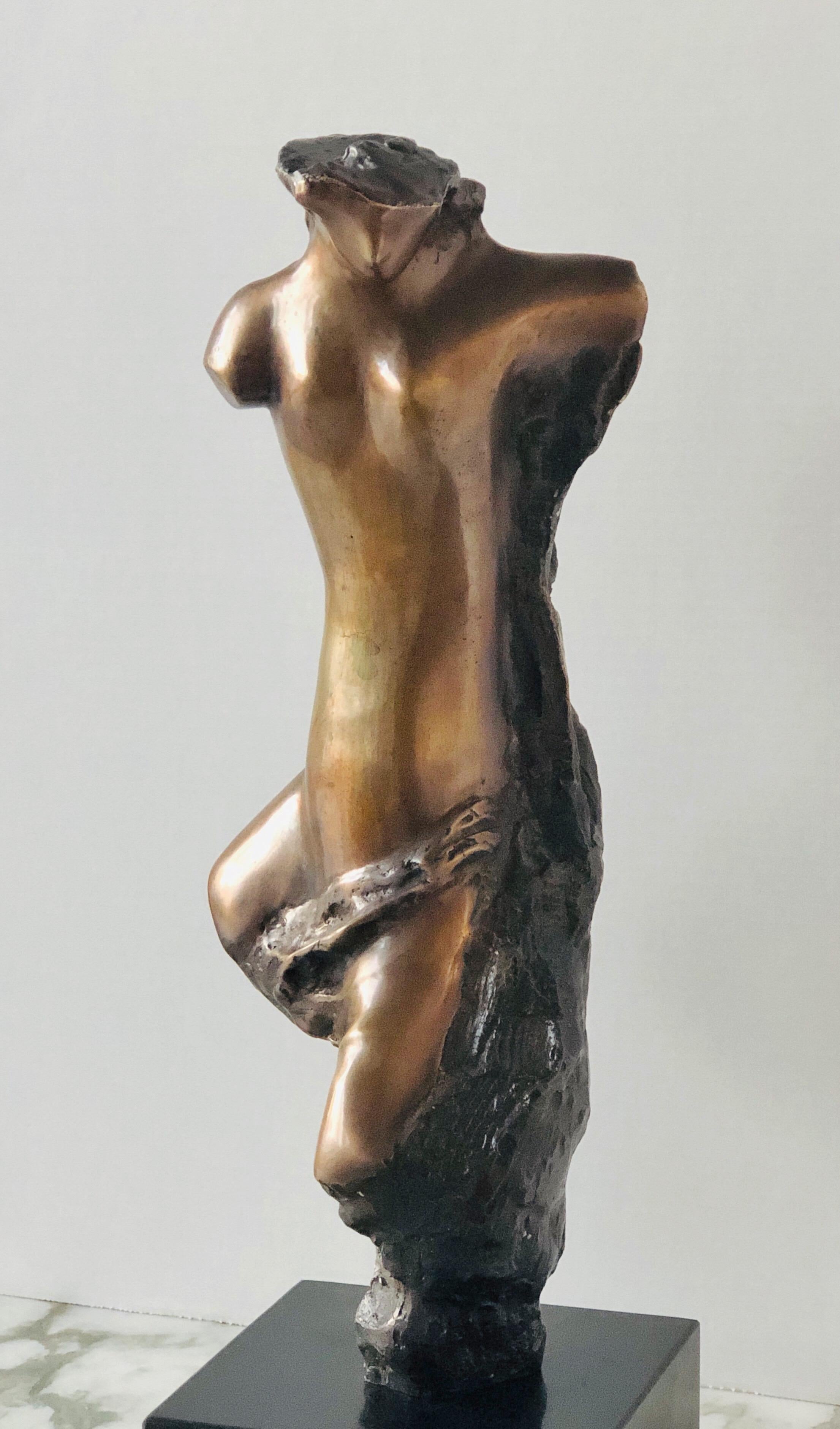 Abstract Bronze Sculpture of Modern Nude  1
