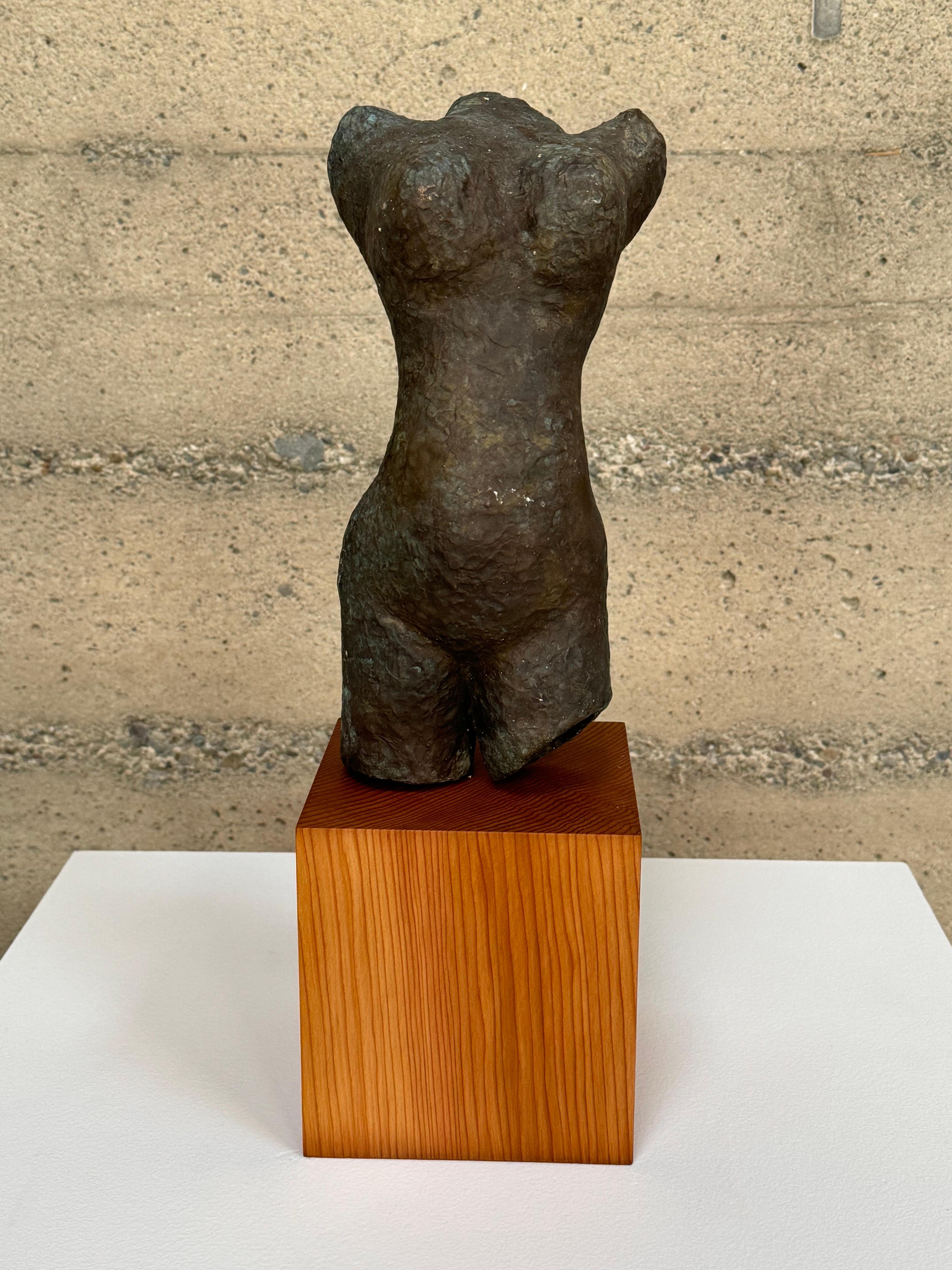 Sculpture abstraite en bronze de forme féminine figurative des années 1970 présentant une riche patine de différentes teintes et une surface texturée créée par l'artiste. Il s'agit d'une pièce importante créée en bronze massif, pesant 21 livres. La