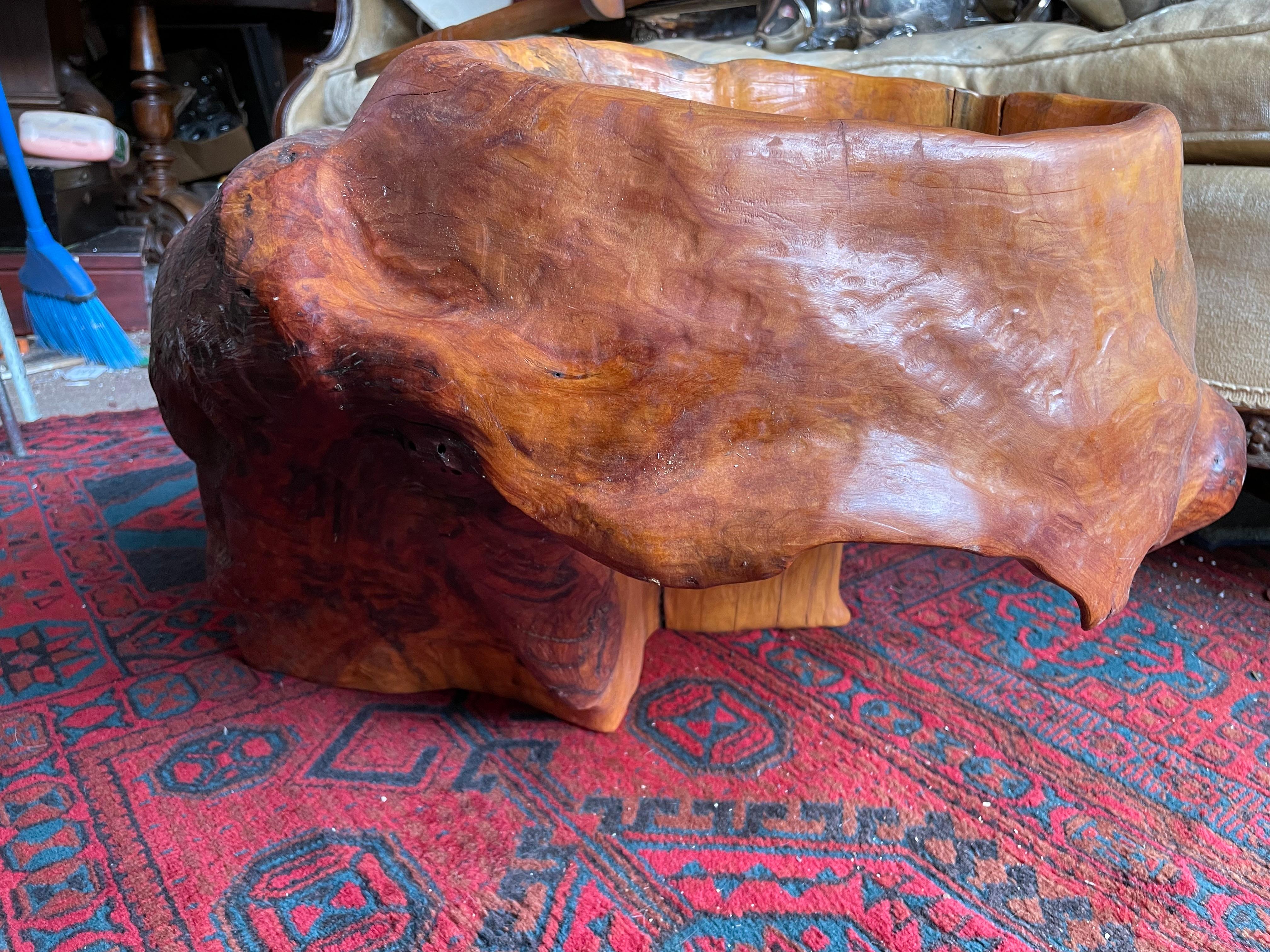 Scultura astratta a forma libera in legno di boro con portapiante moderno in legno di radice Adirondack in vendita 4